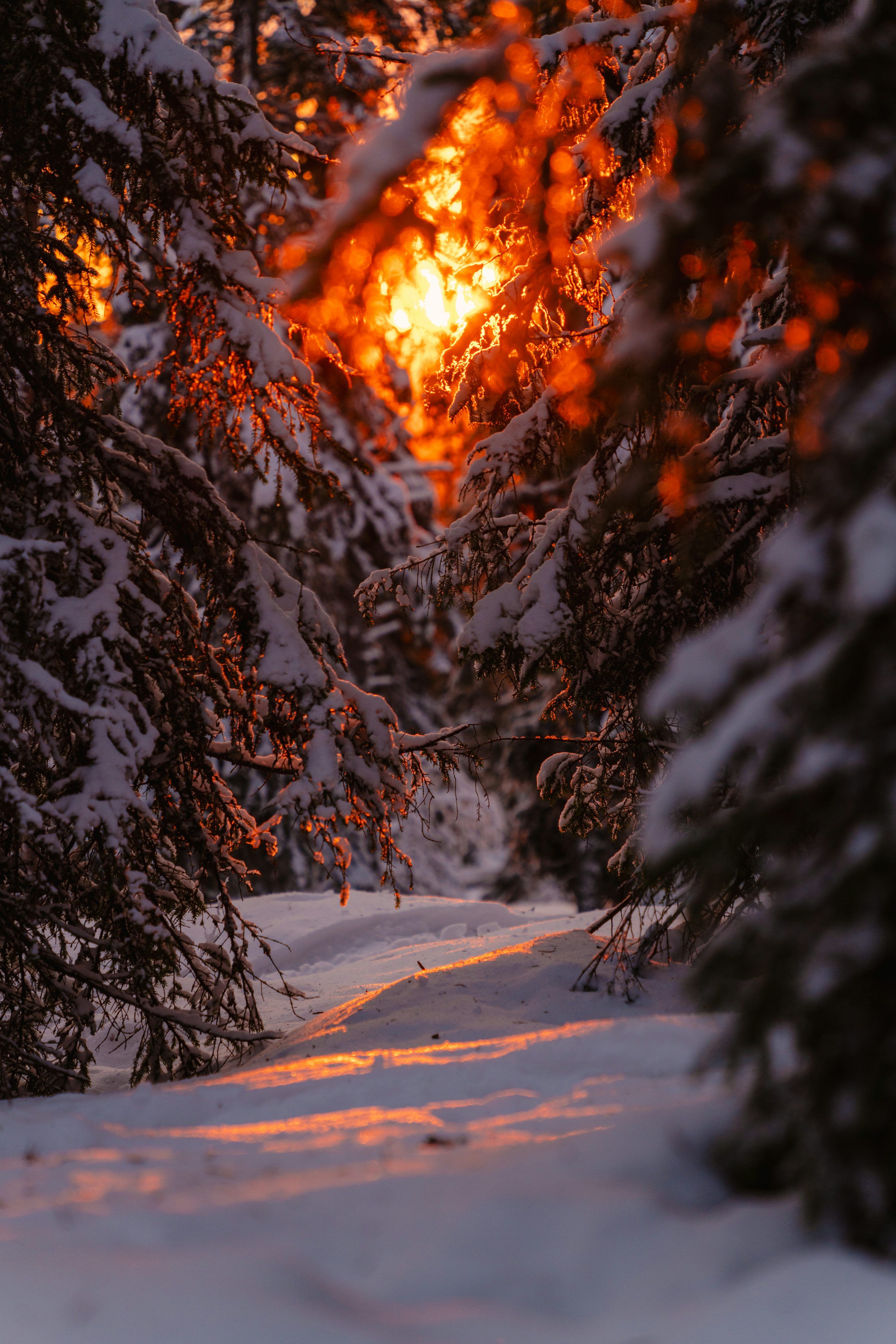 3000x4500 Cozy Winter Picture. Download Free Image