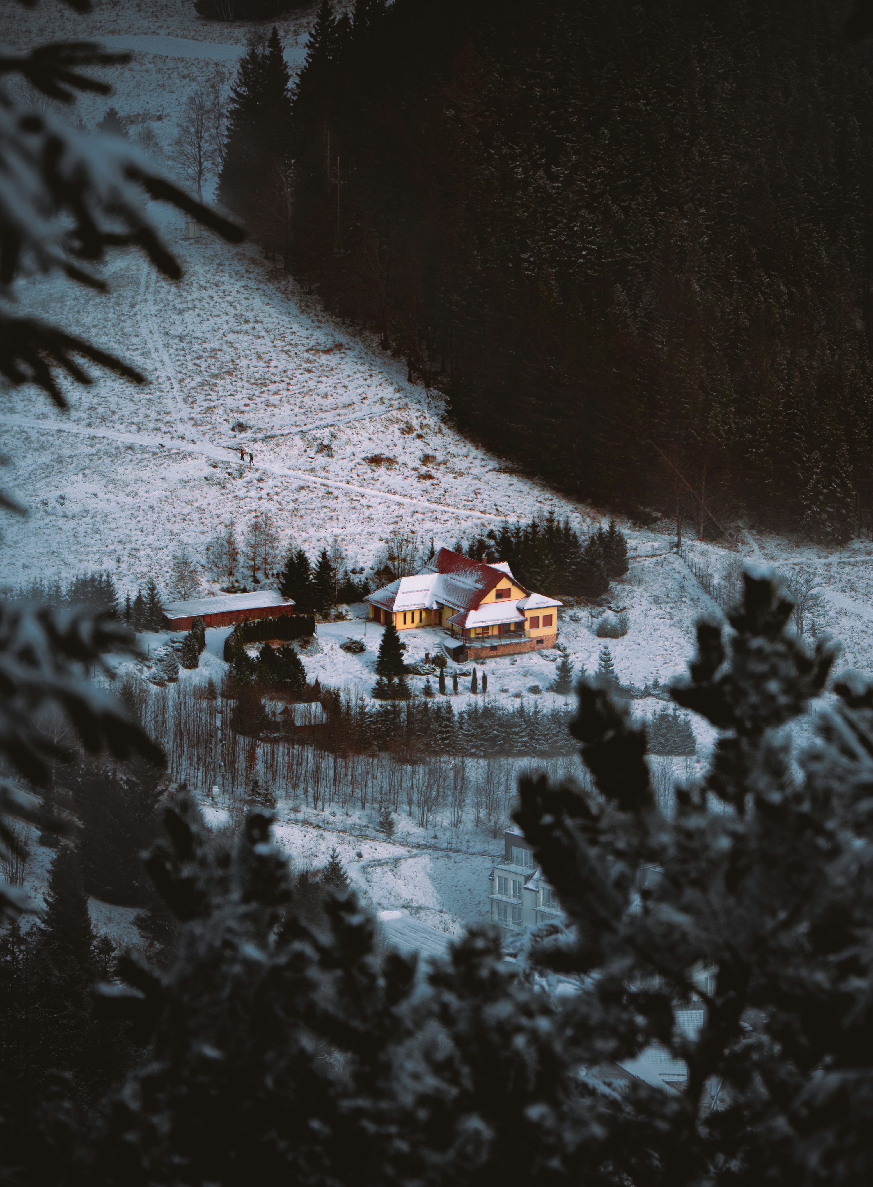 3000x4078 A cozy house nestled in a snowy forest landscape