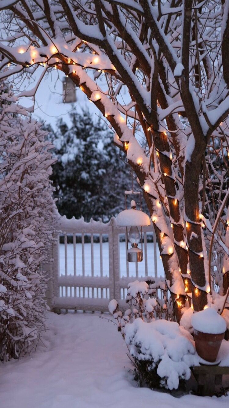 750x1334 Cozy Winter iPhone Wallpaper