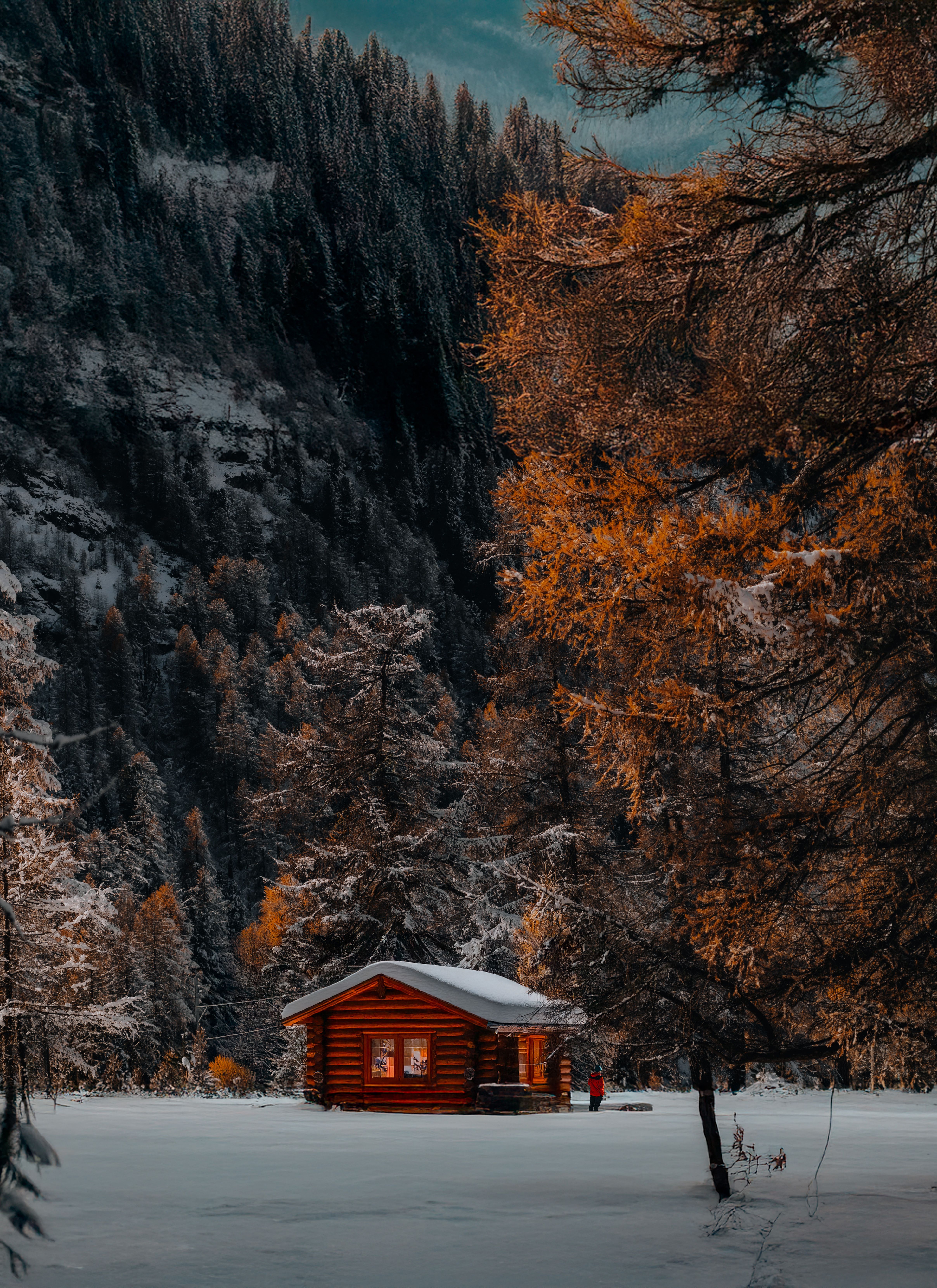 4831x6639 Cozy Wooden Cabin in Snowy Winter Forest · Free
