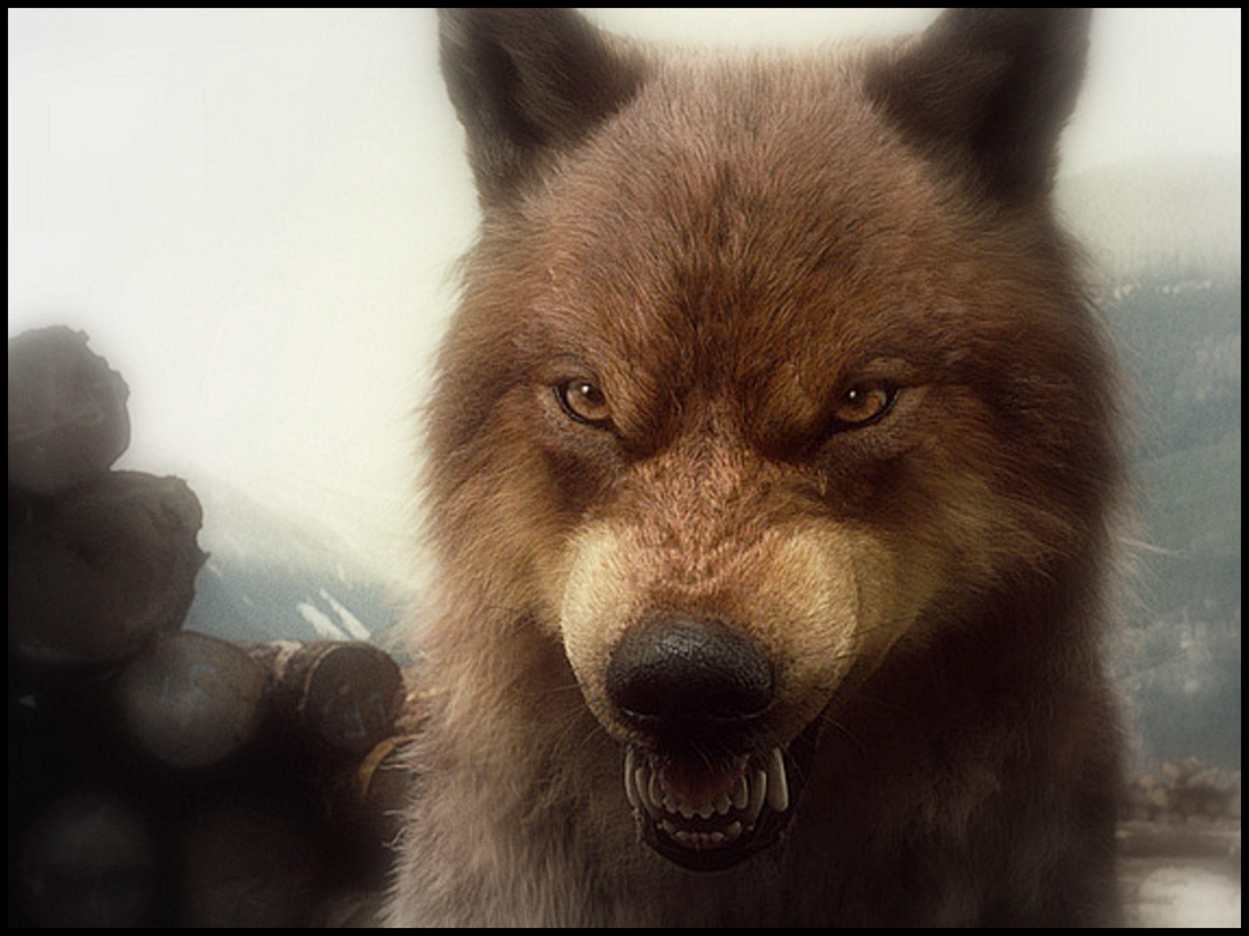 Hình nền 2560x1920 Twilight Wolf Pack