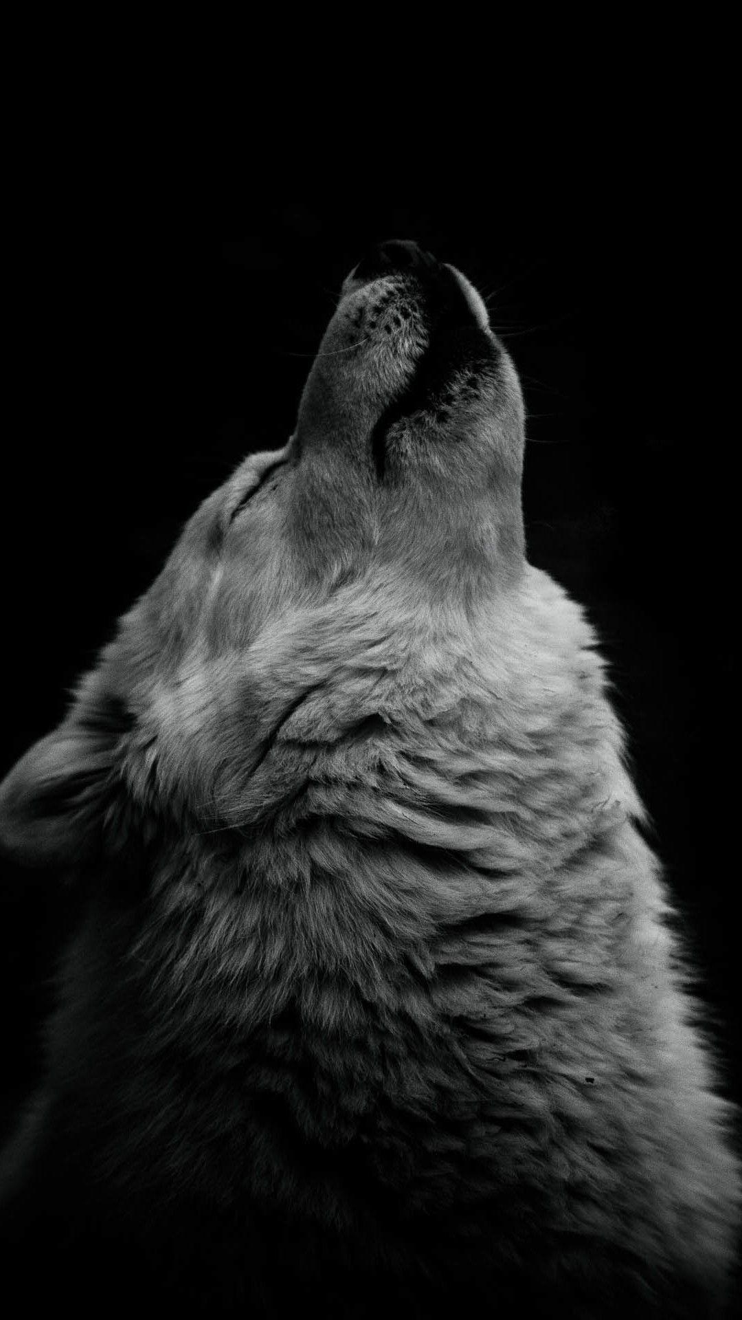 1080x1920 iPhone Twilight Wolf Wallpaper