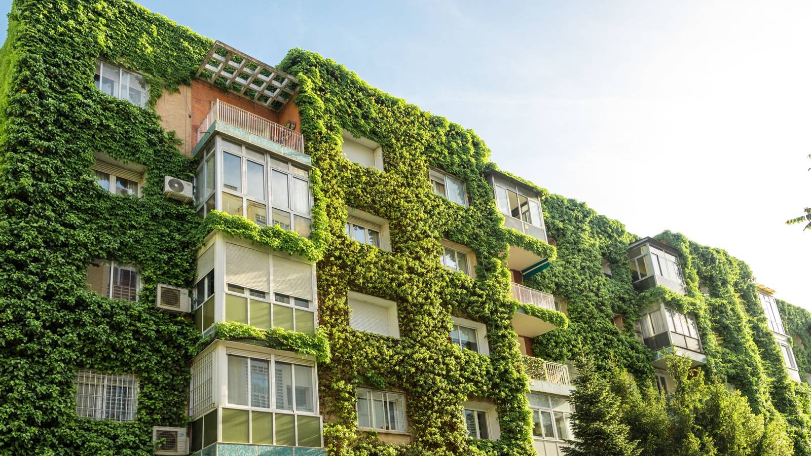 1600x900 Landscape Architecture: Use Plants in Your Building Design