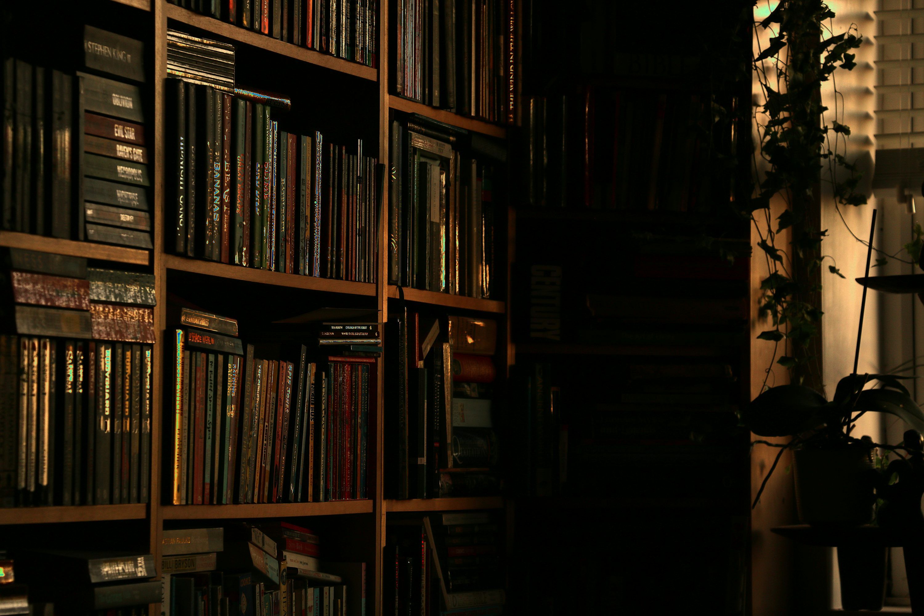 3000x2000 Library Wallpaper Picture. Download Free Image