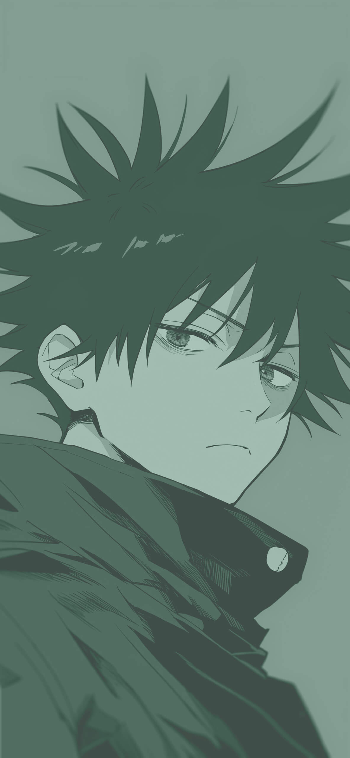 1183x2560 Megumi Fushiguro Jujutsu Kaisen Wallpaper Anime Wallpaper