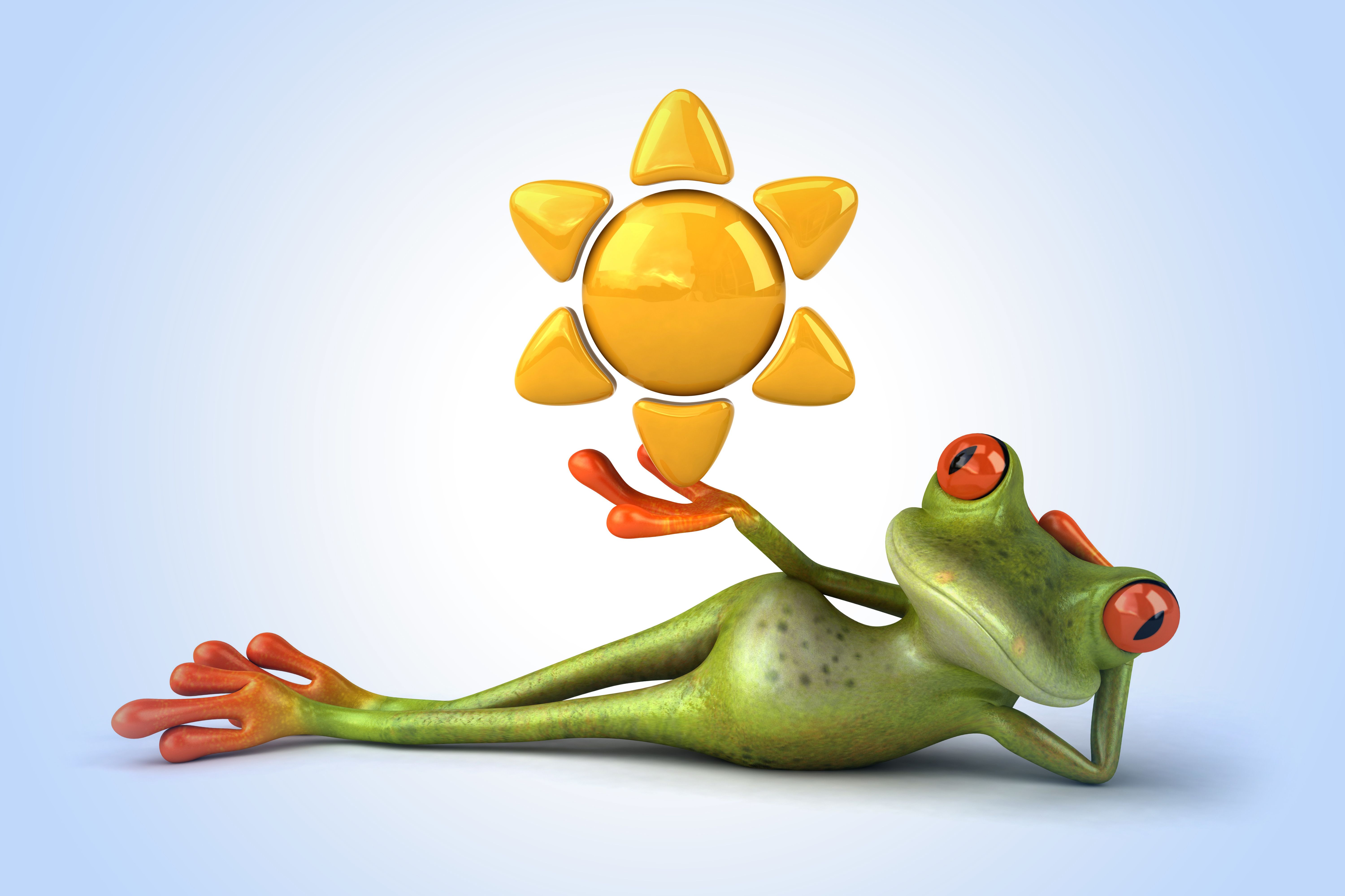 6000x4000 Free frog, frog, funny 5K wallpaper for desktop and phone
