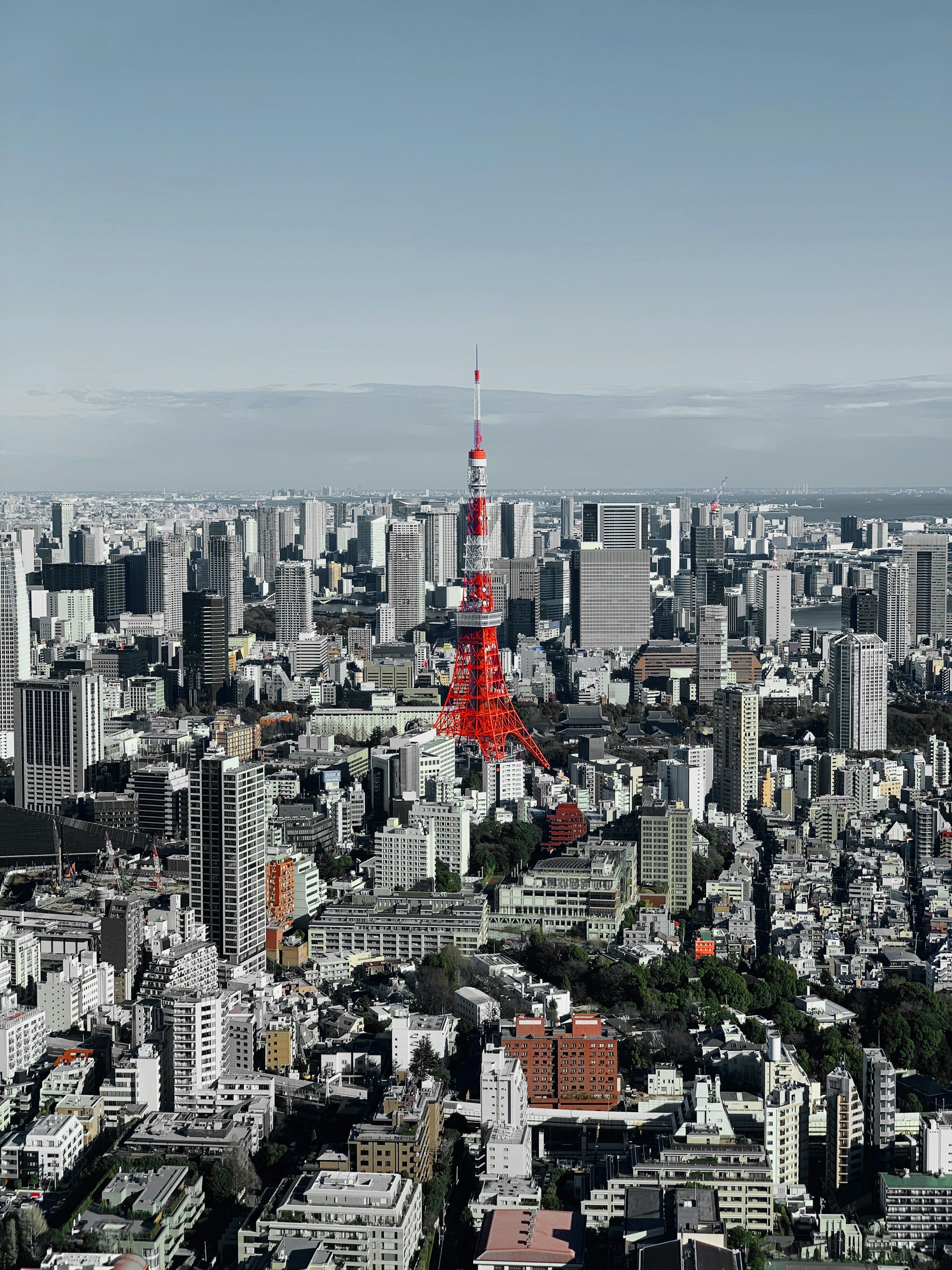 3000x4000 Aerial view of city buildings during daytime