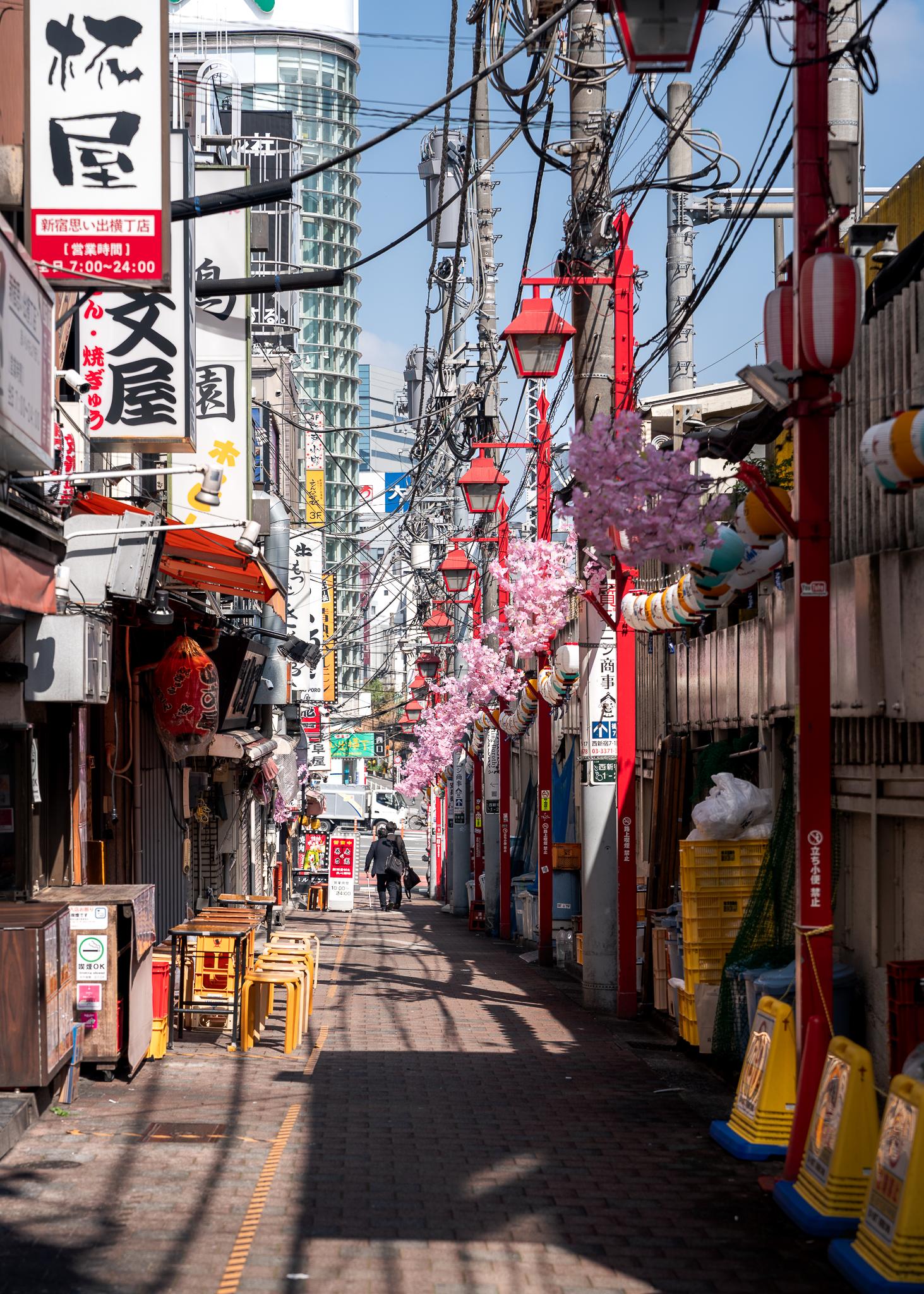 1463x2048 Daytime walk around Tokyo (remastered)