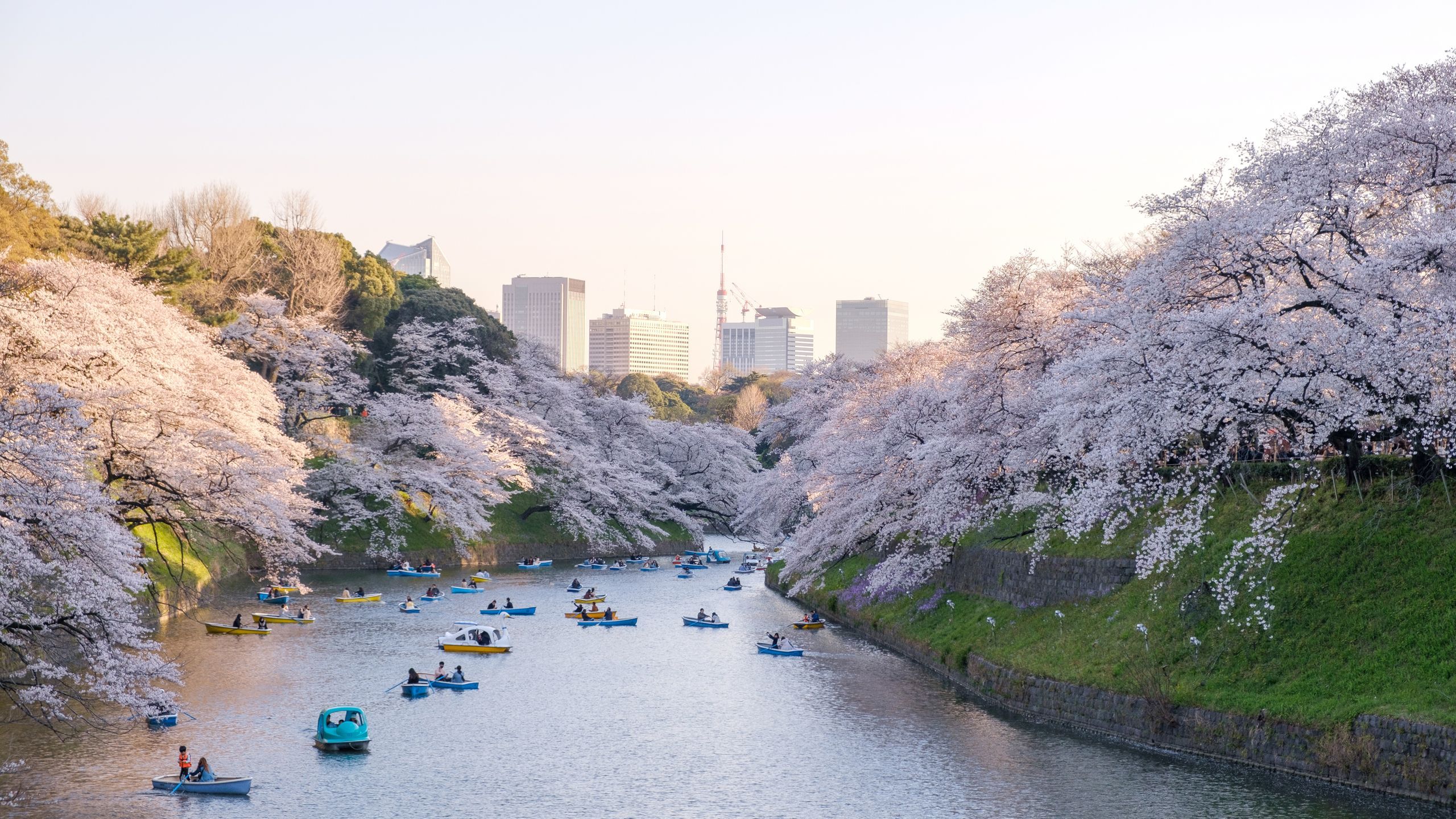 2560x1440 Tokyo Travel Guide. Condé Nast Traveler