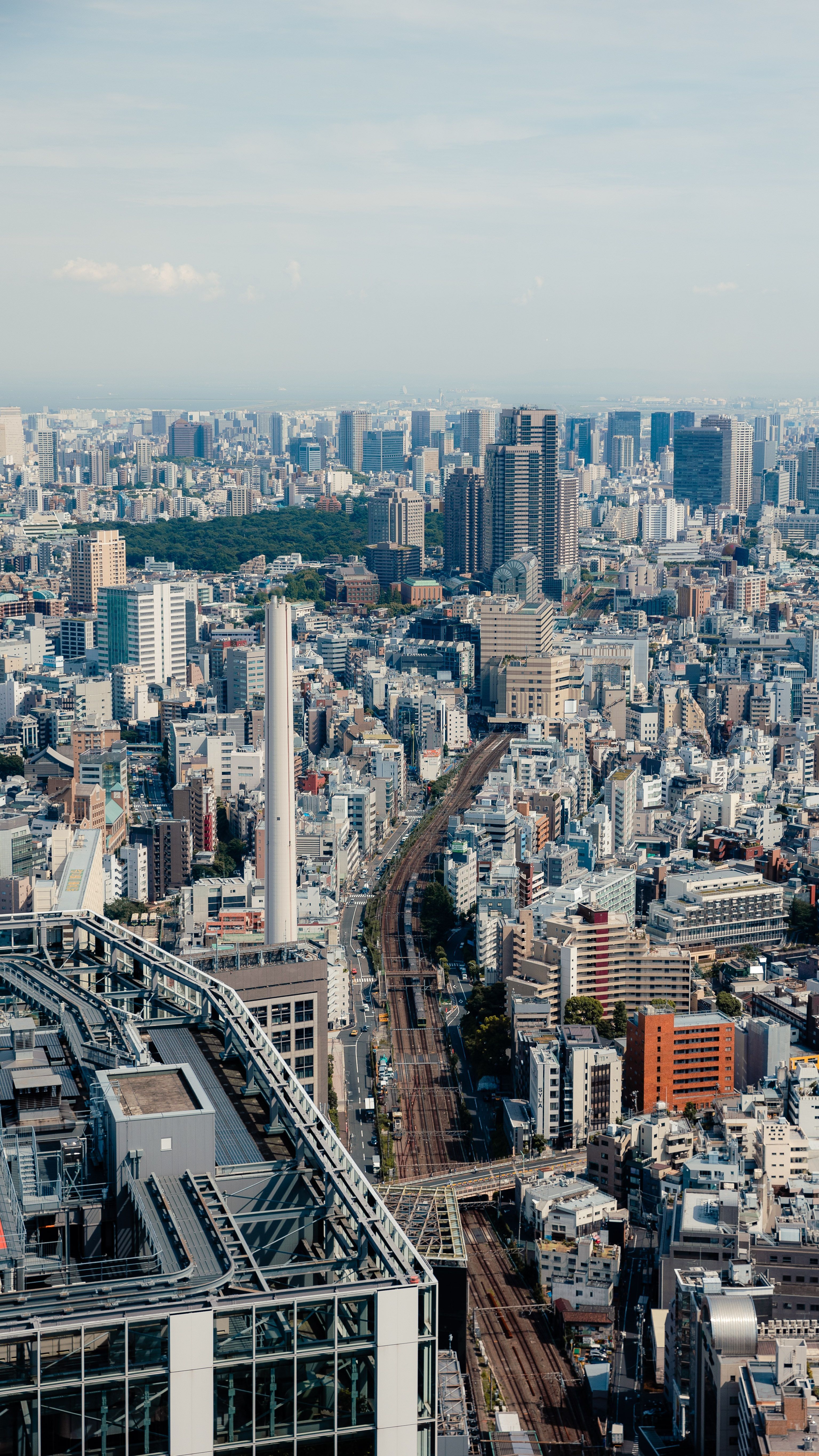 3071x5460 The View of Tokyo · Free