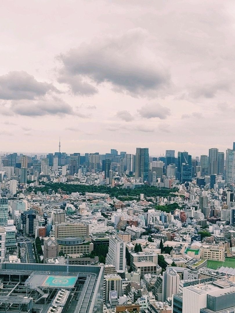 810x1080 The Ultimate View from Shibuya Sky: Tokyo in Miniature