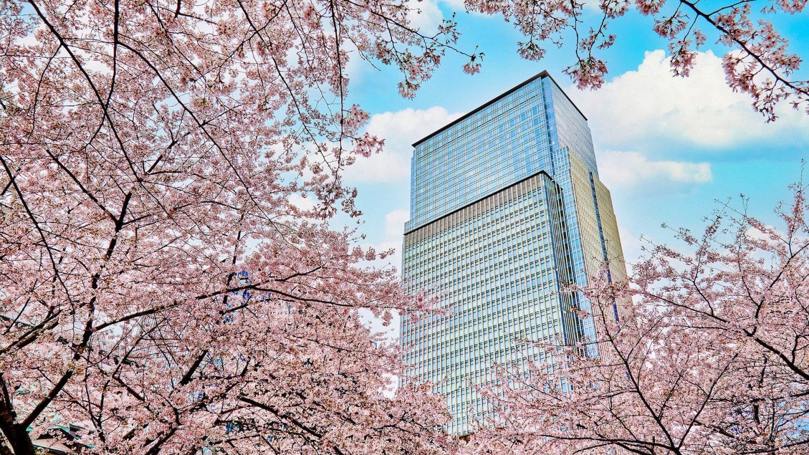 1600x900 Exploring the best hotels and hospitality landmarks of Tokyo, Japan