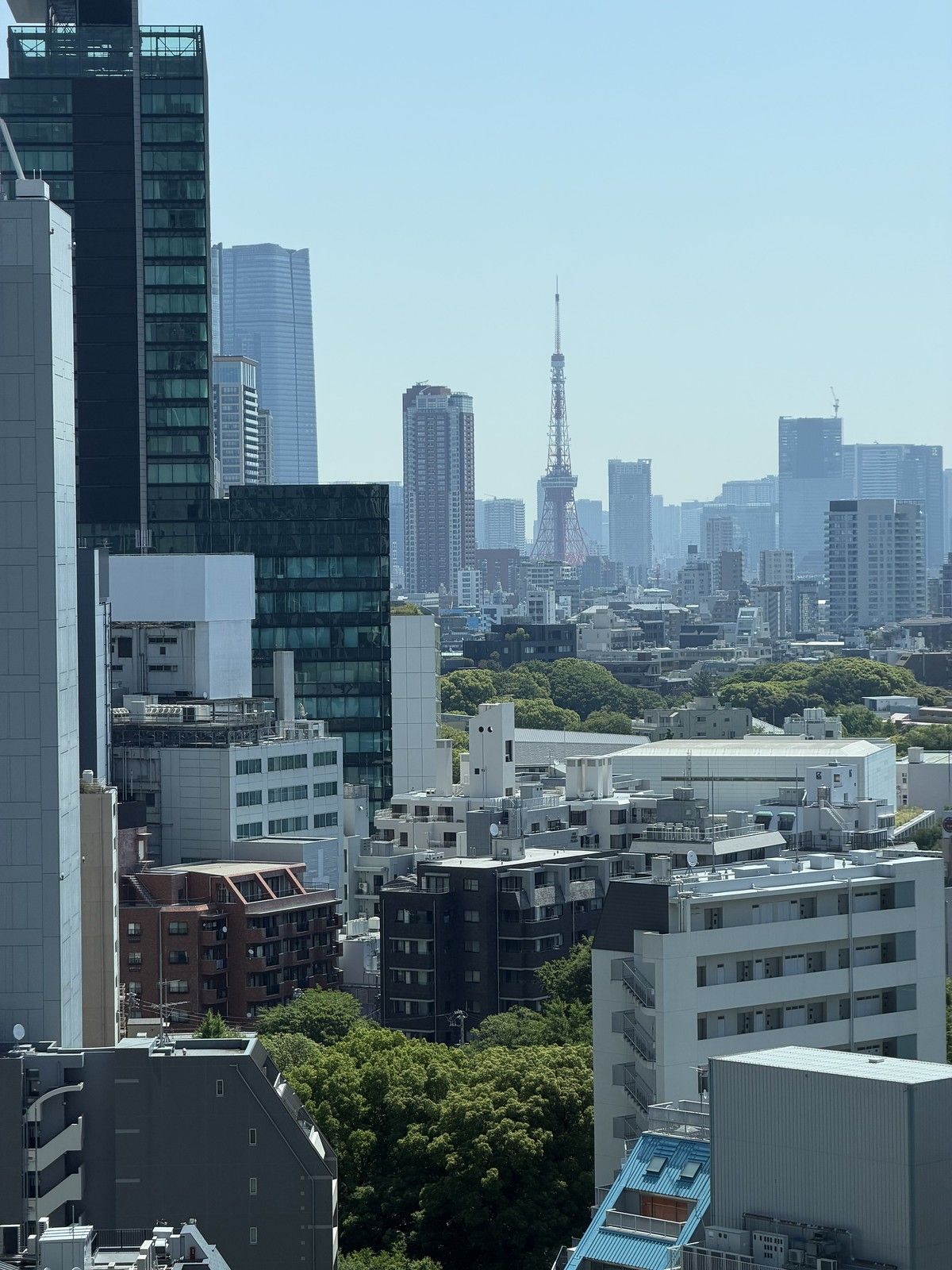 1200x1600 Shibuya, or First Walk in Japan