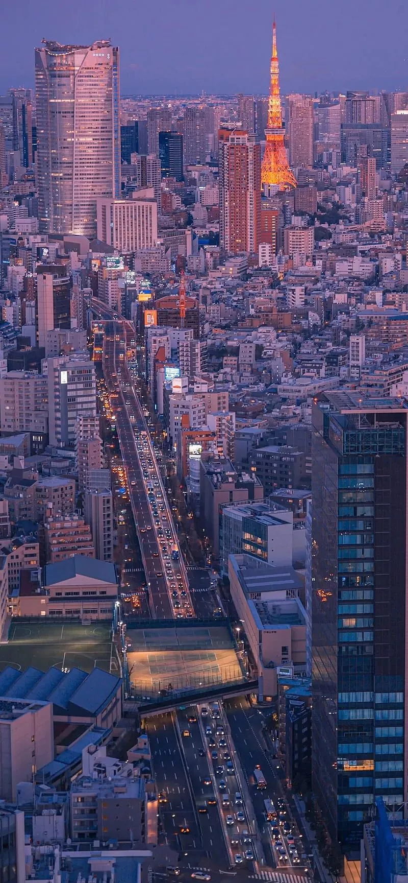 800x1729 Tokyo View Wallpaper