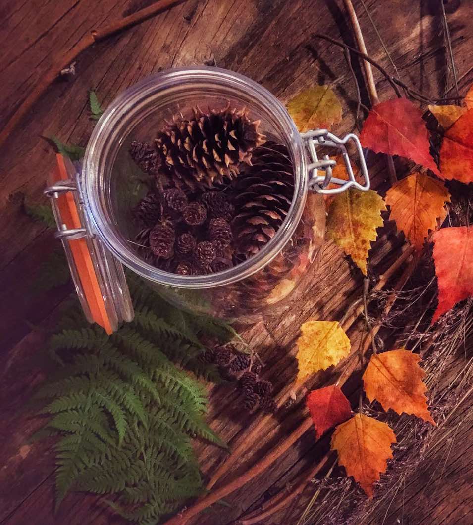 955x1061 Witch Cottage Aesthetic