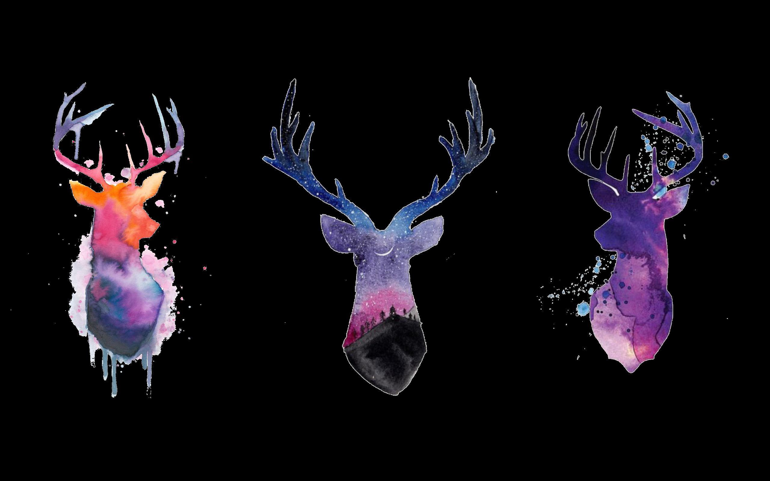 2560x1600 Dark Version Moose Wallpaper