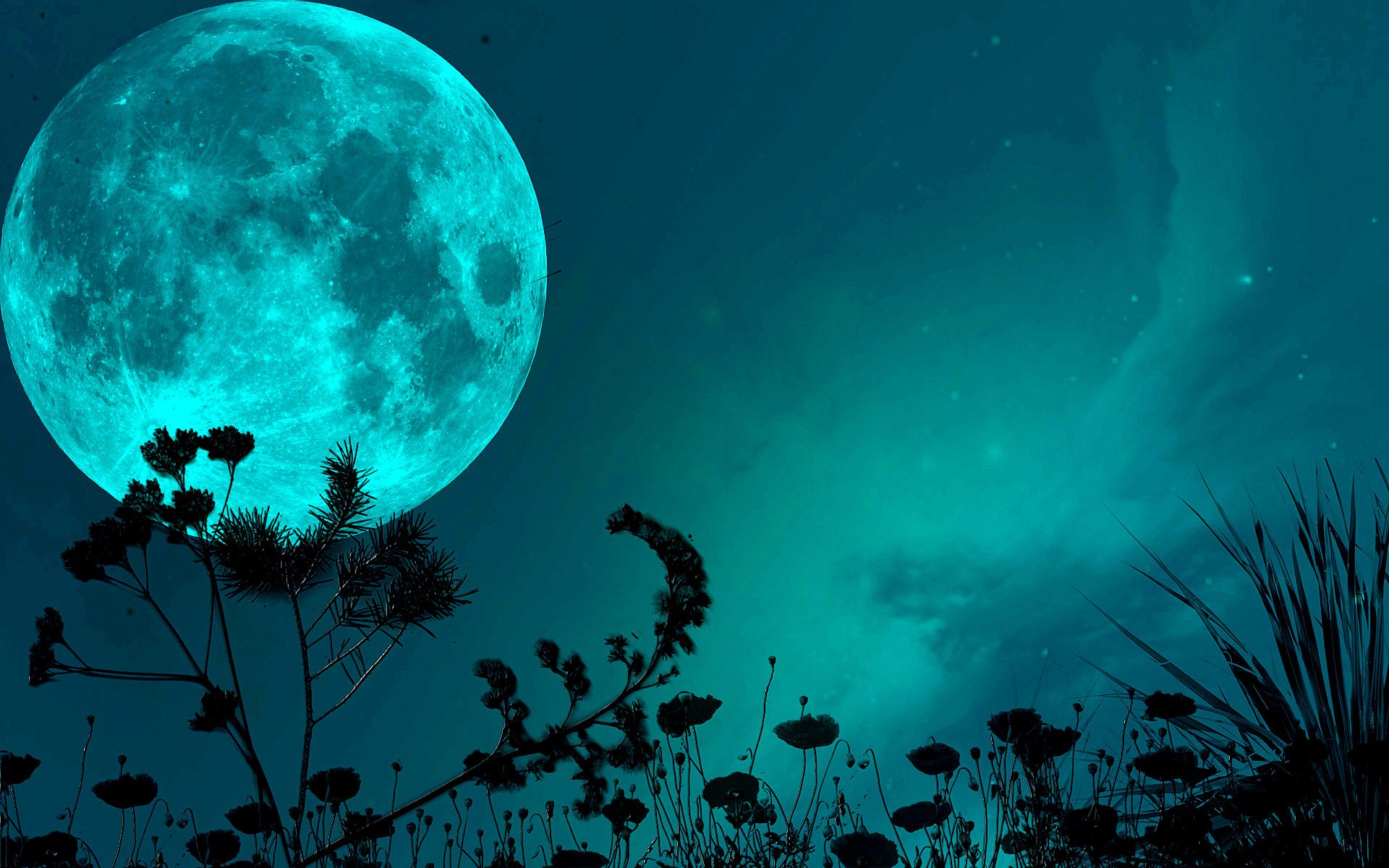 1920x1200 Night Shadow Wallpaper