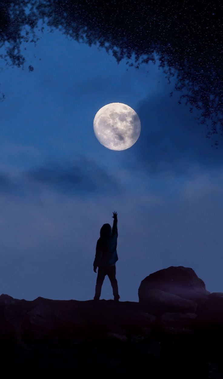 736x1252 Reaching for the moon wallpaper. Night sky with moon and silhouette, Night sky wallpaper for