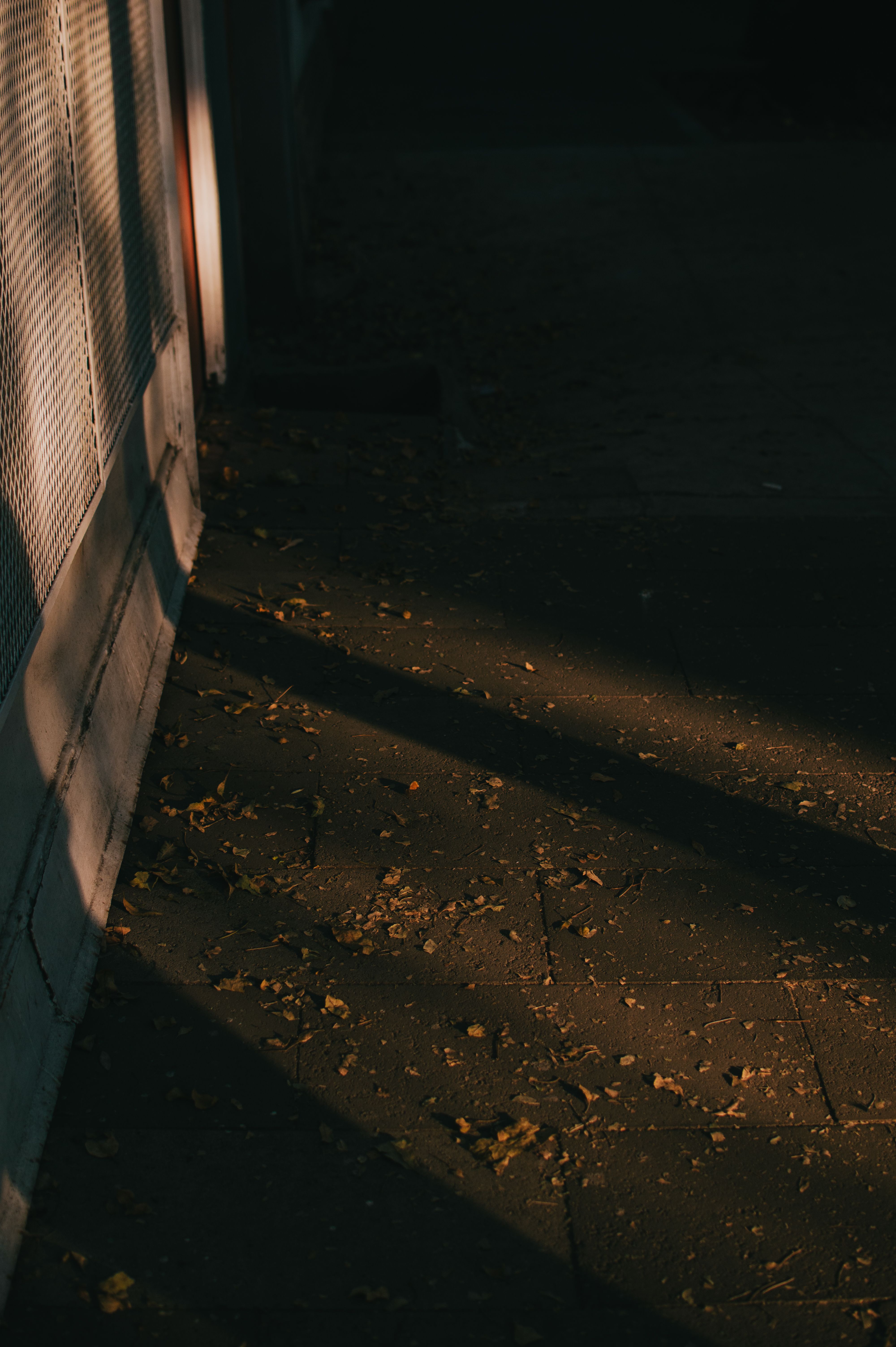 4000x6016 Shadow Photo, Download The BEST Free Shadow & HD Image