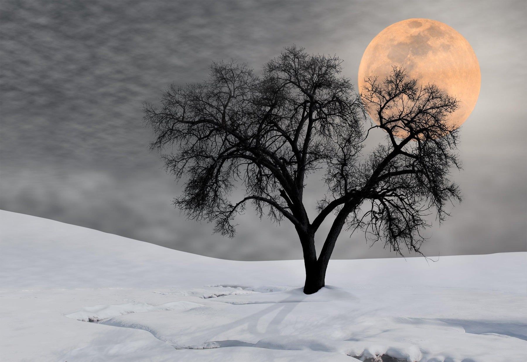 1800x1238 Peter Lik Shadow. Fine Art Photograph