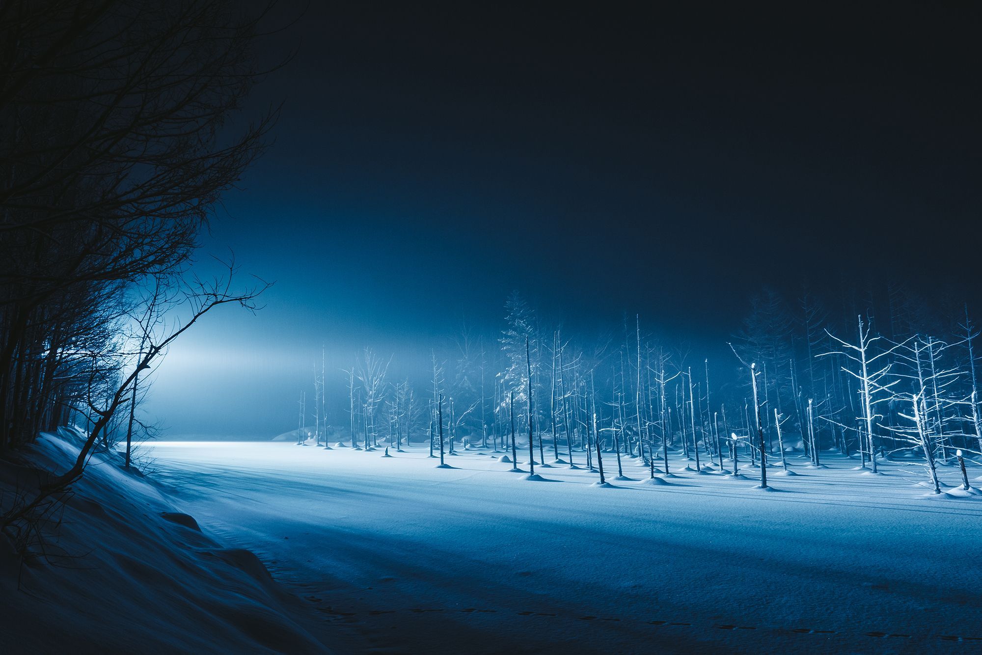 2000x1333 The Light, The Trees, The Shadow. International Photo Awards