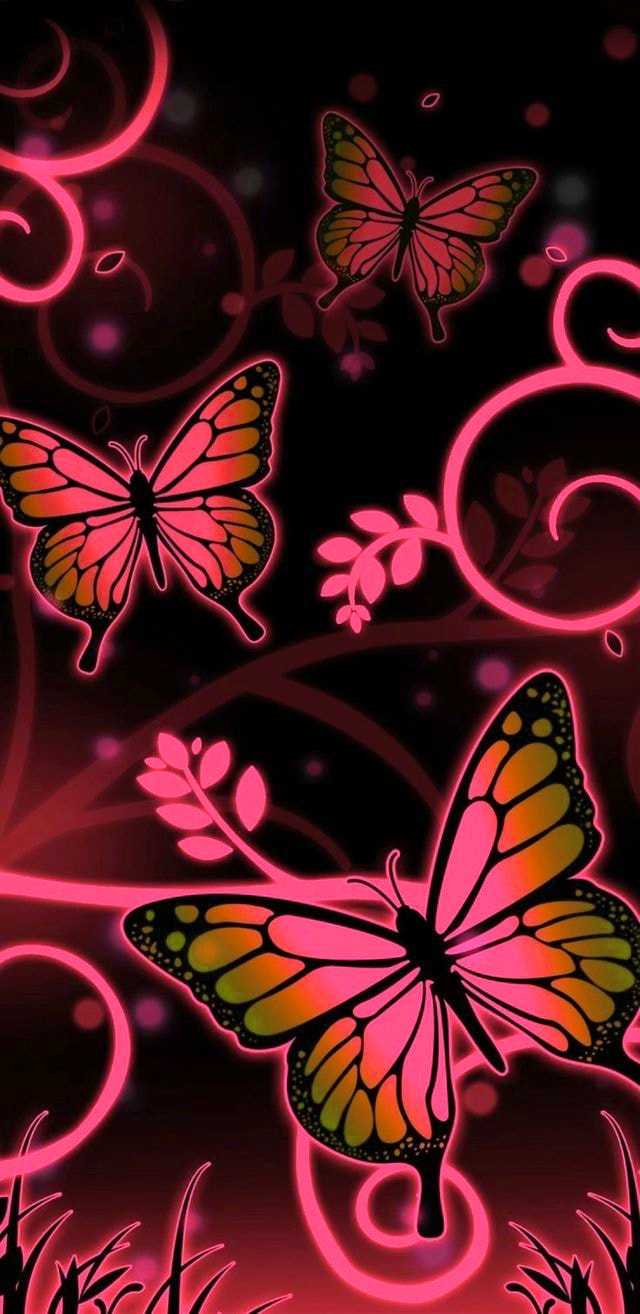 Fall Butterfly Wallpapers - Top Free Fall Butterfly Backgrounds ...