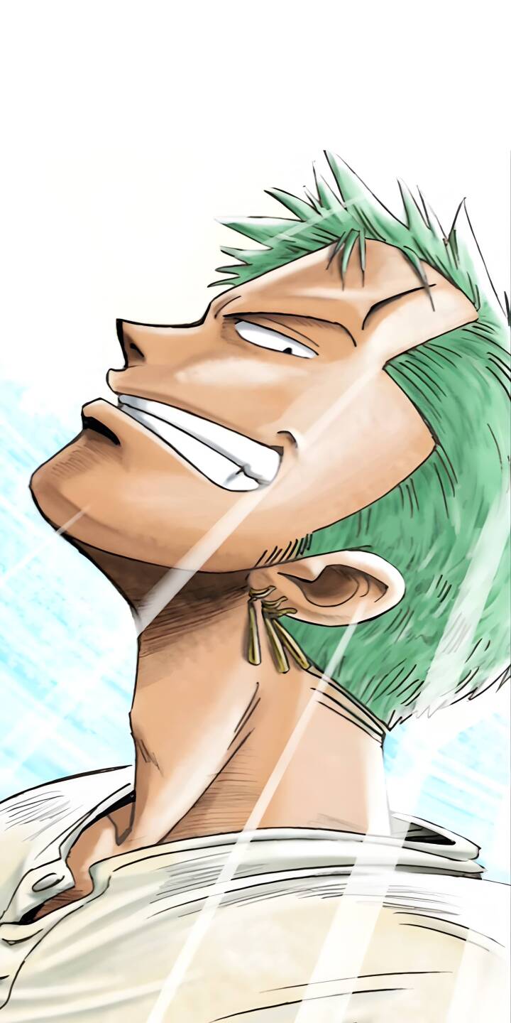 720x1440 Zoro Green Hair Earrings 4K