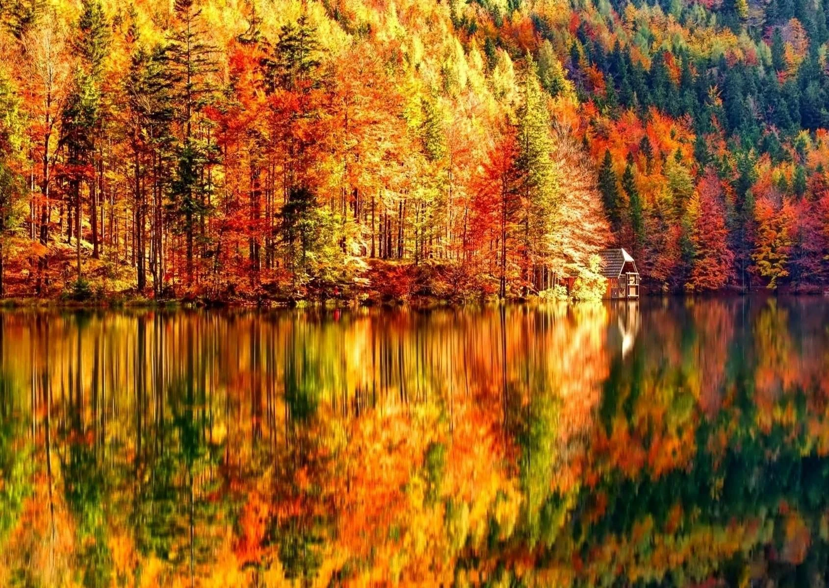1690x1200 Photo wallpaper, Autumn forest landscape Art.01358