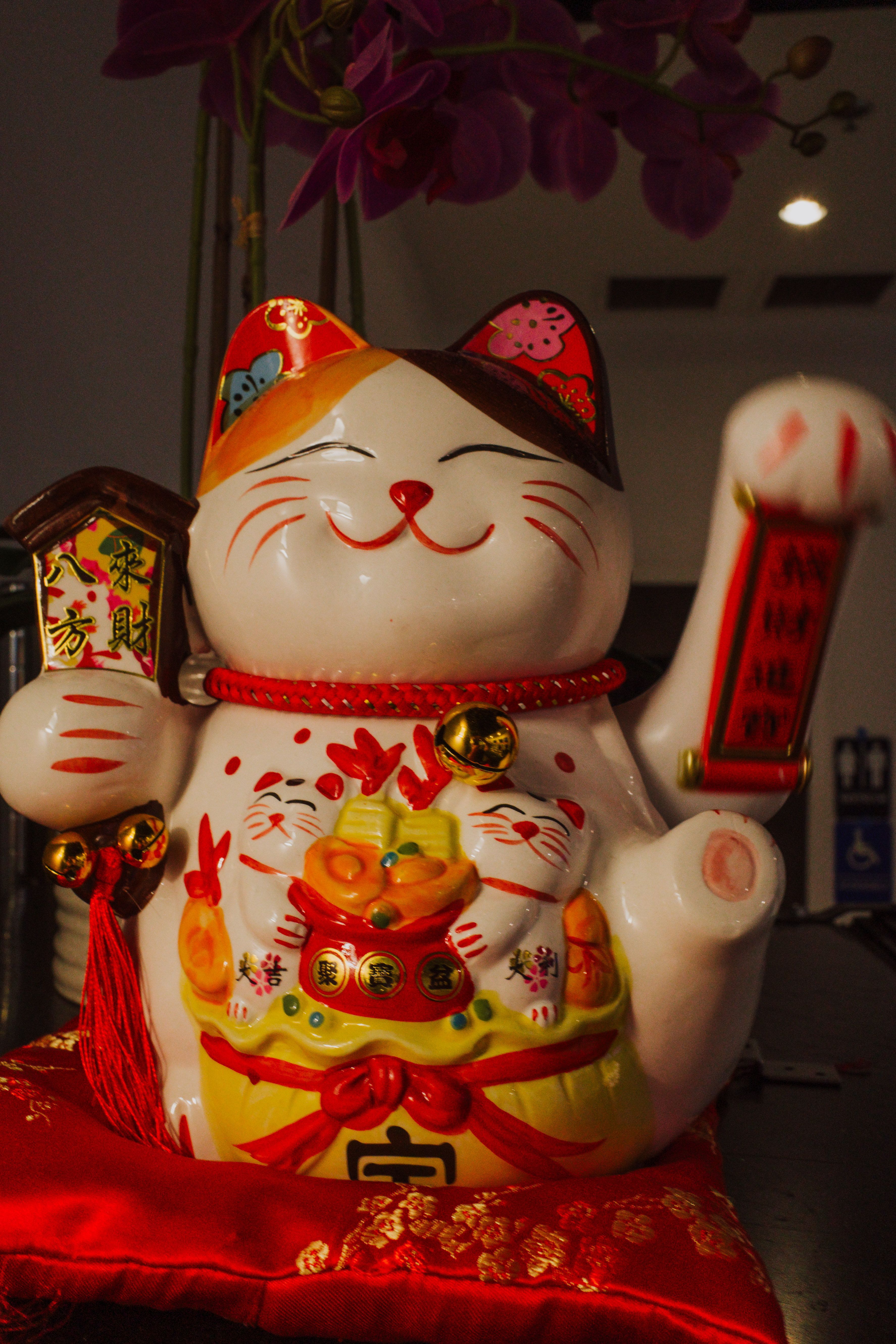 3548x5322 Chinese Lucky Cat Photo, Download The BEST Free Chinese Lucky Cat & HD Image