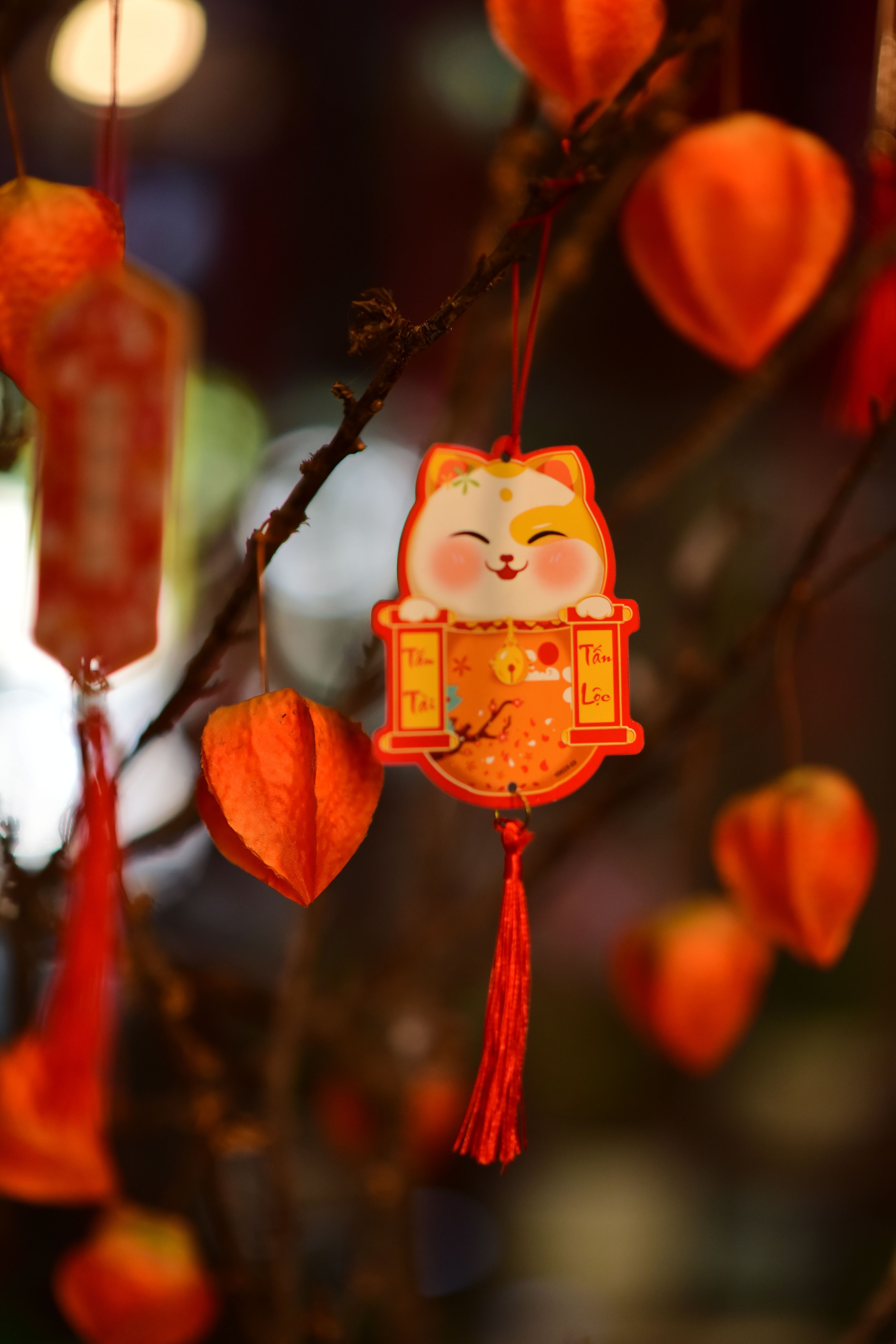 3680x5520 Vibrant Chinese New Year Lucky Cat Decoration · Free