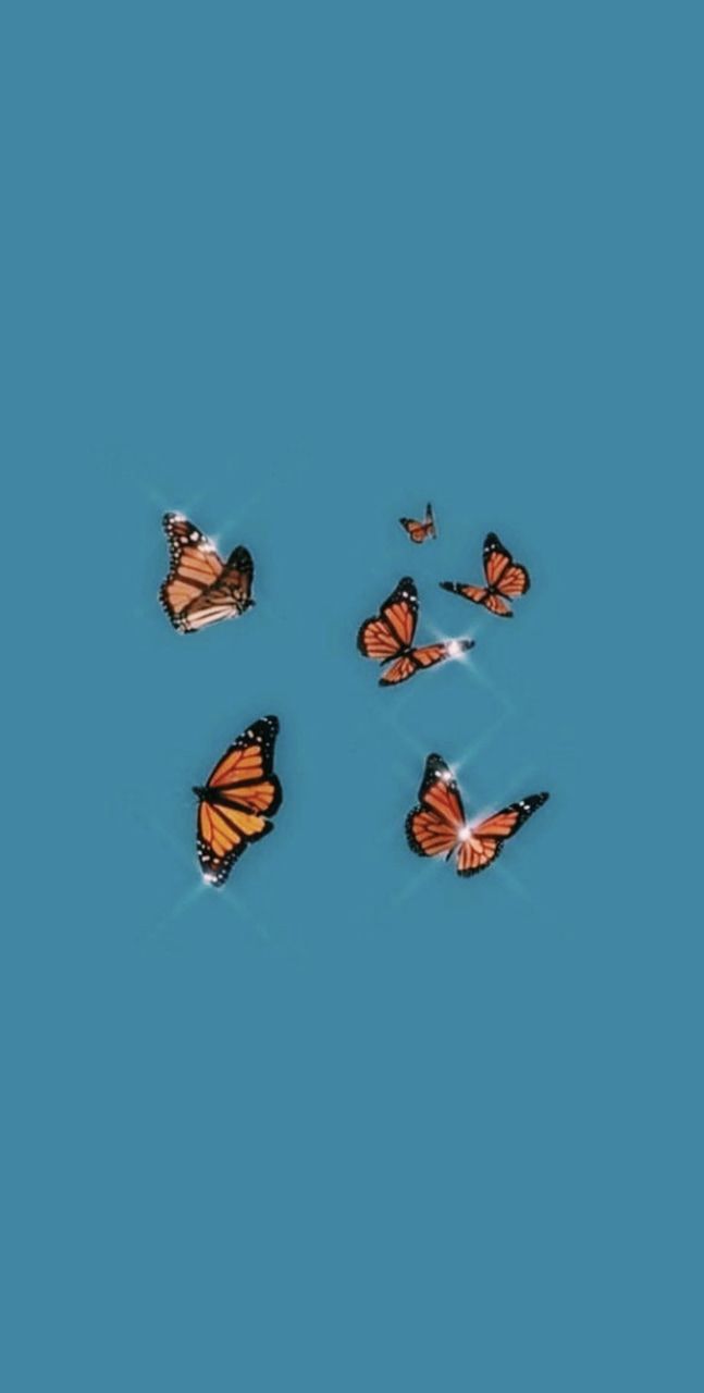647x1280 blue background butterfly wallpaper uploaded by