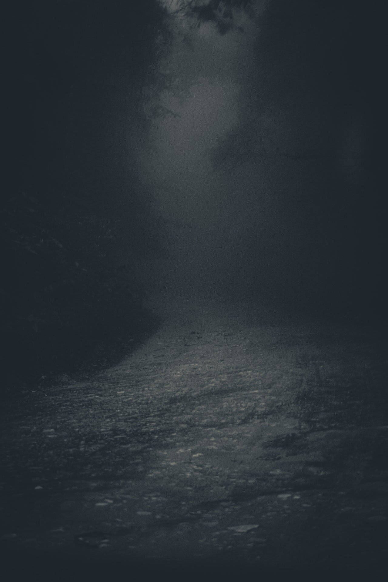 1280x1920 Download Ominous Dark And Foggy River Wallpaper