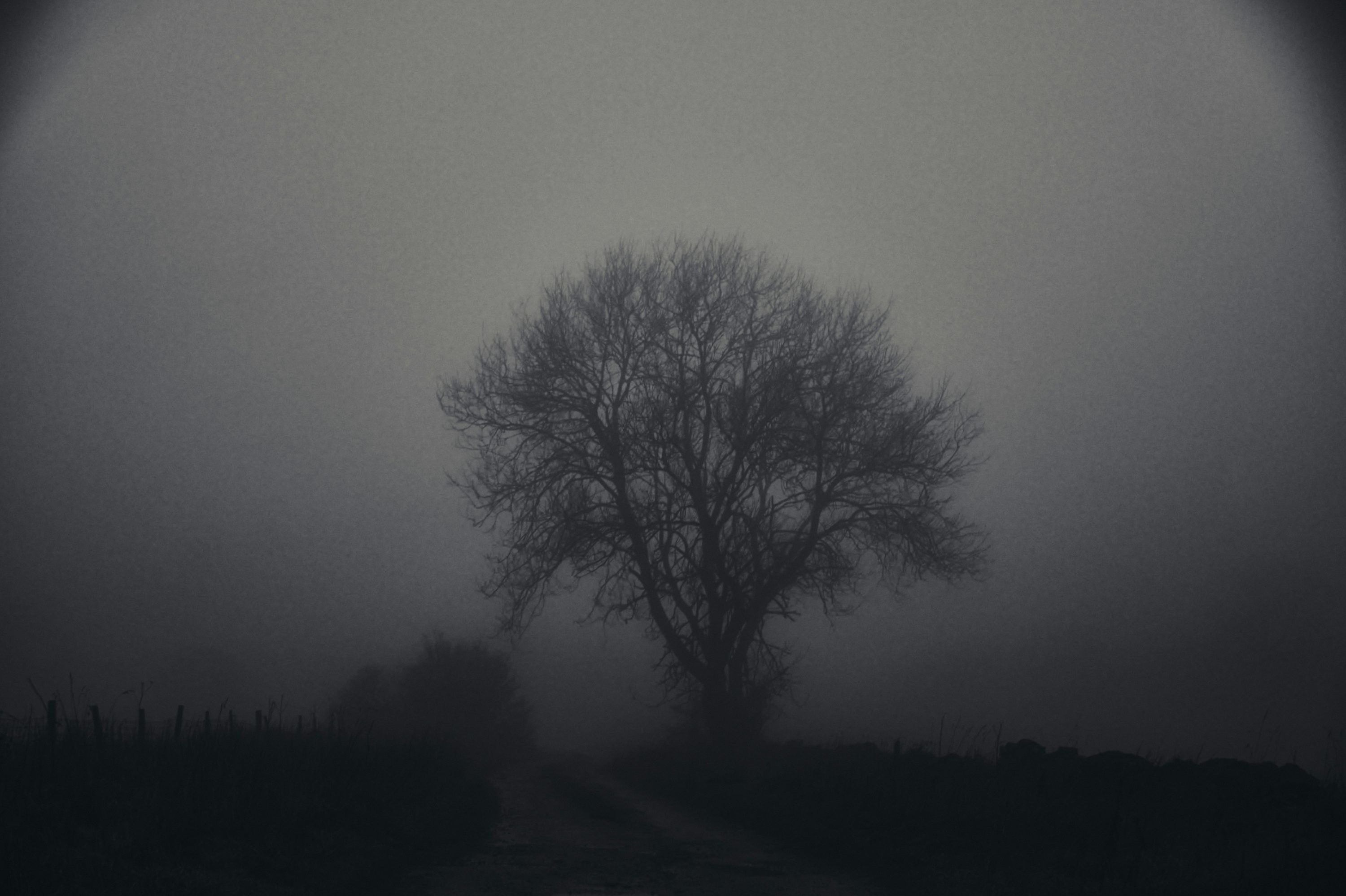 3000x1999 Ominous Picture. Download Free Image