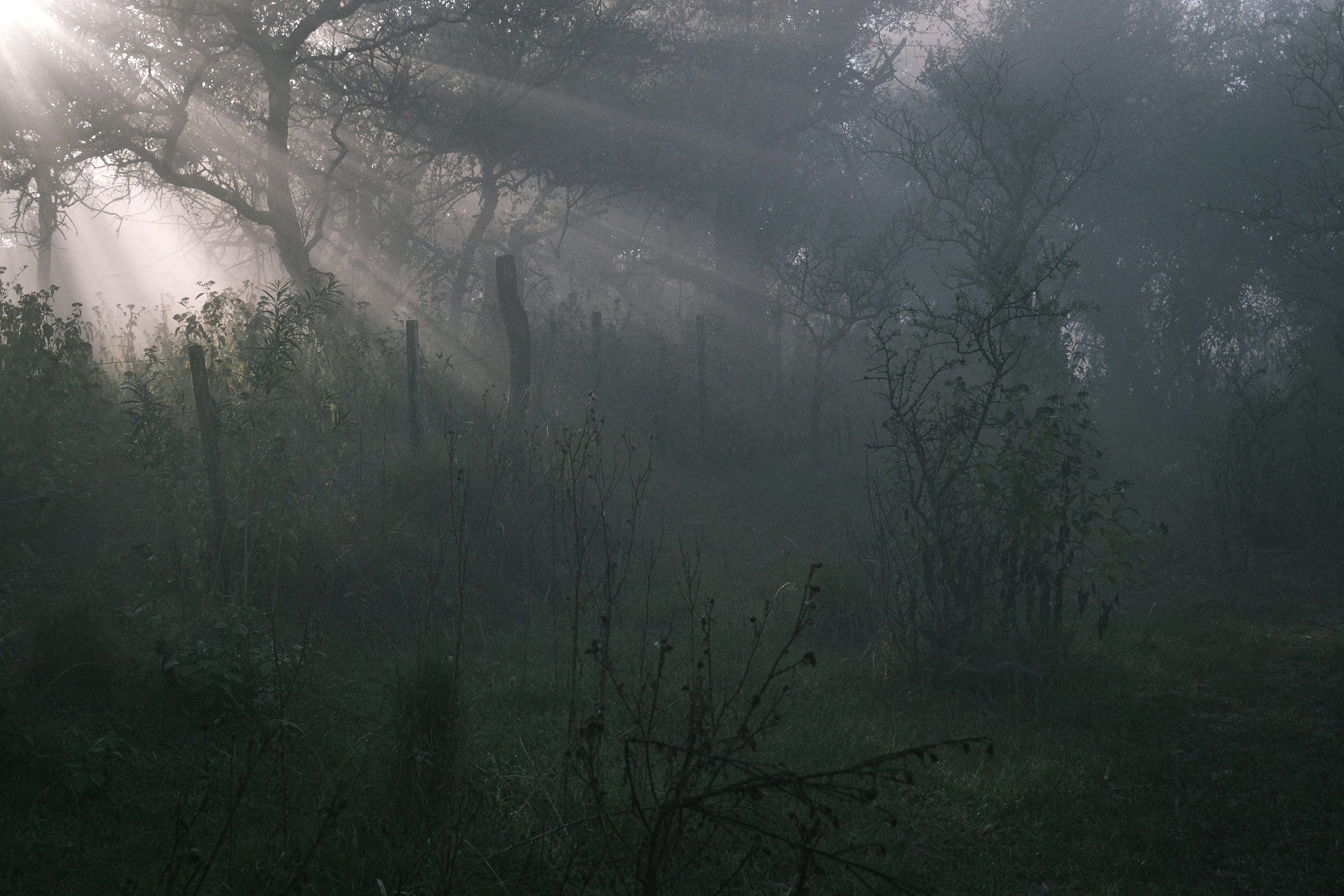 3000x2000 Ominous Picture. Download Free Image