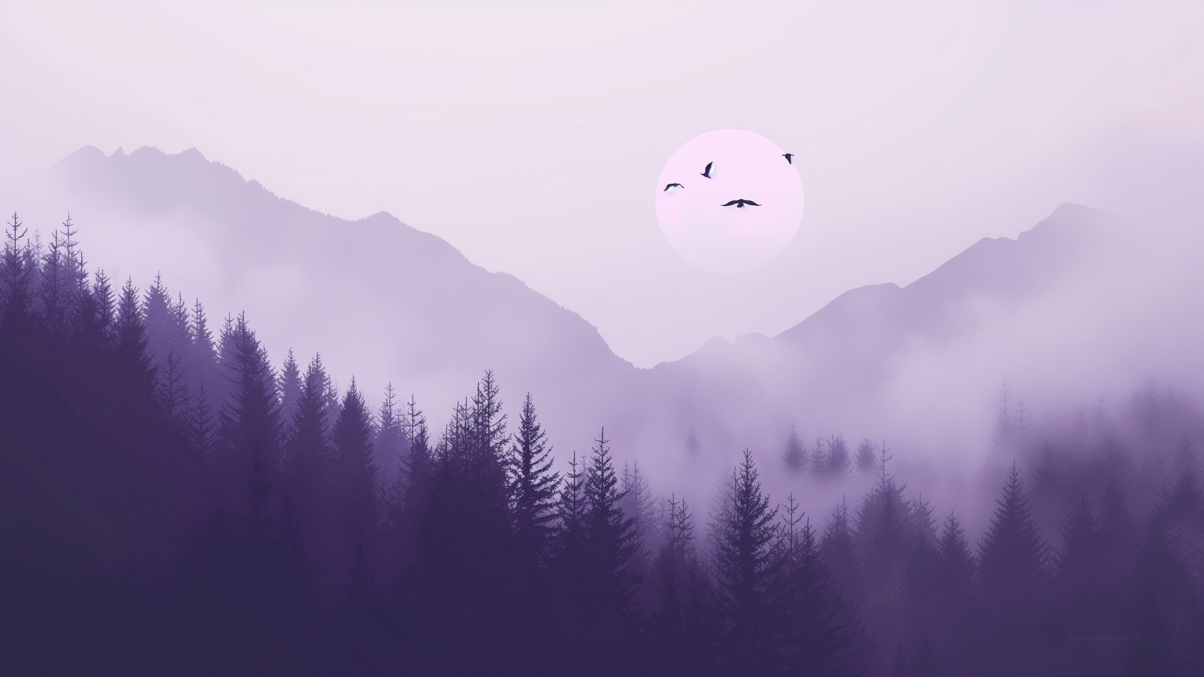 3840x2160 Forest Wallpaper 4K, Landscape