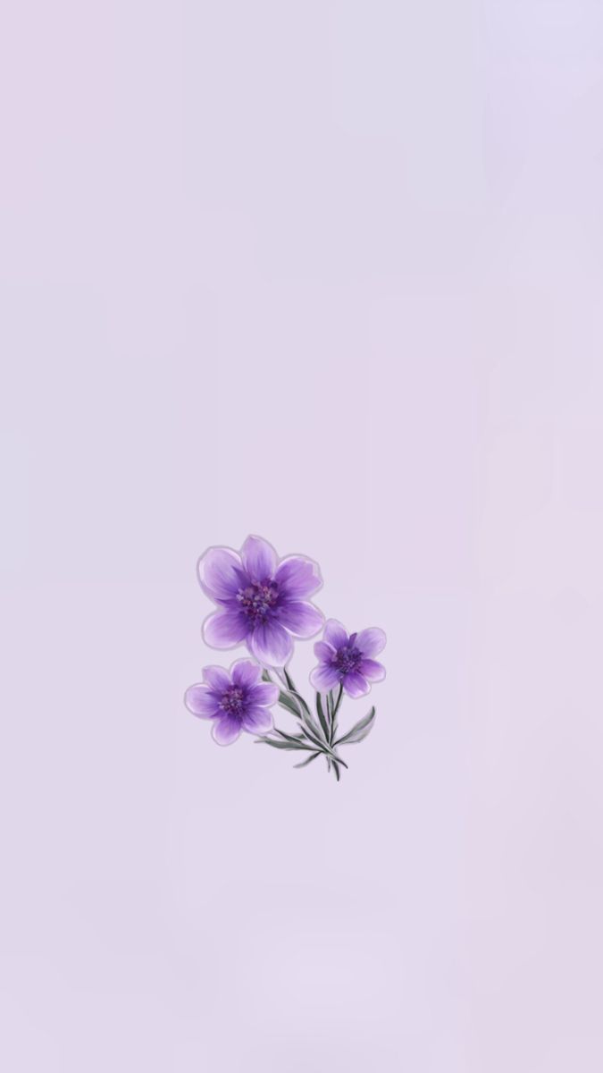 675x1200 Purple flower wallpaper. Pretty background, Purple themes, Purple flowers wallpaper