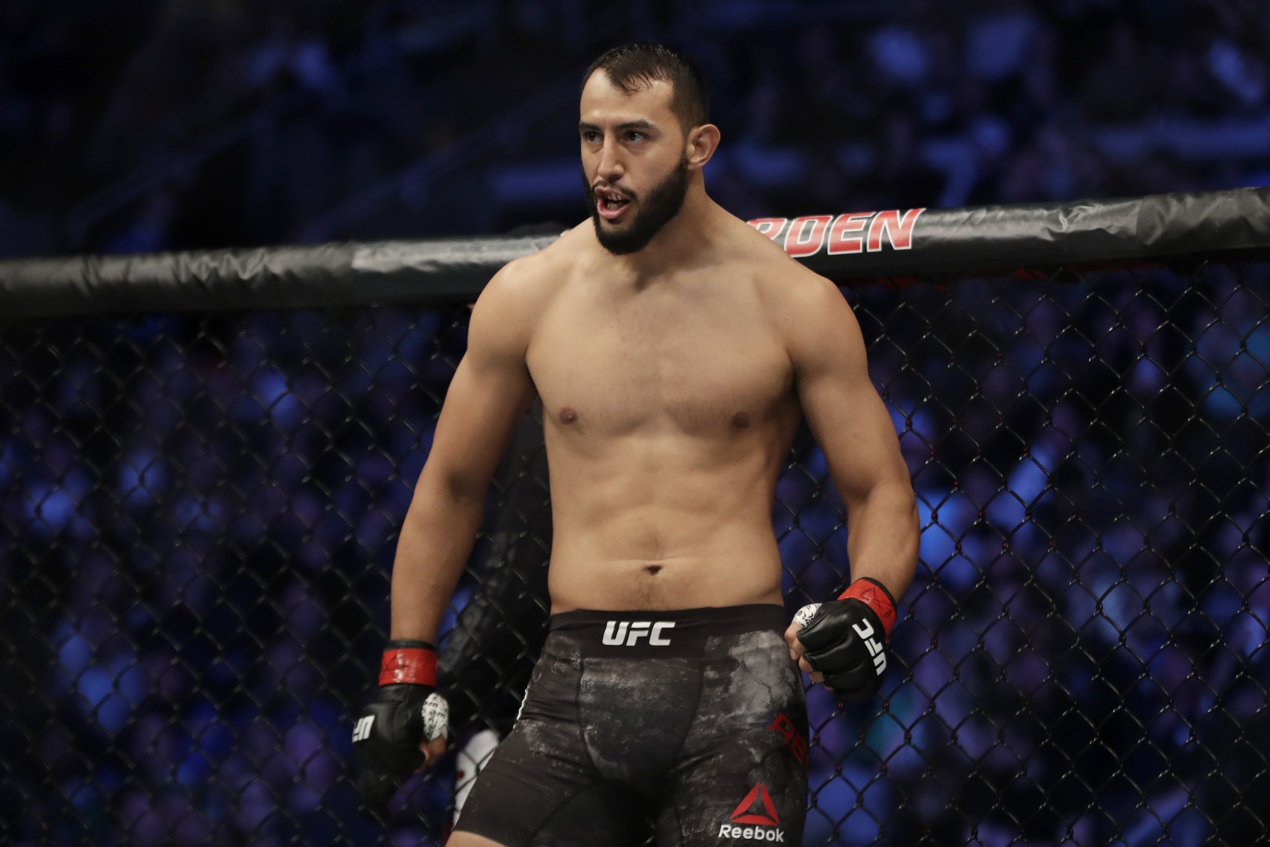 2560x1708 Dominick Reyes Confirms UFC Held Preliminary Jon Jones Rematch Talks