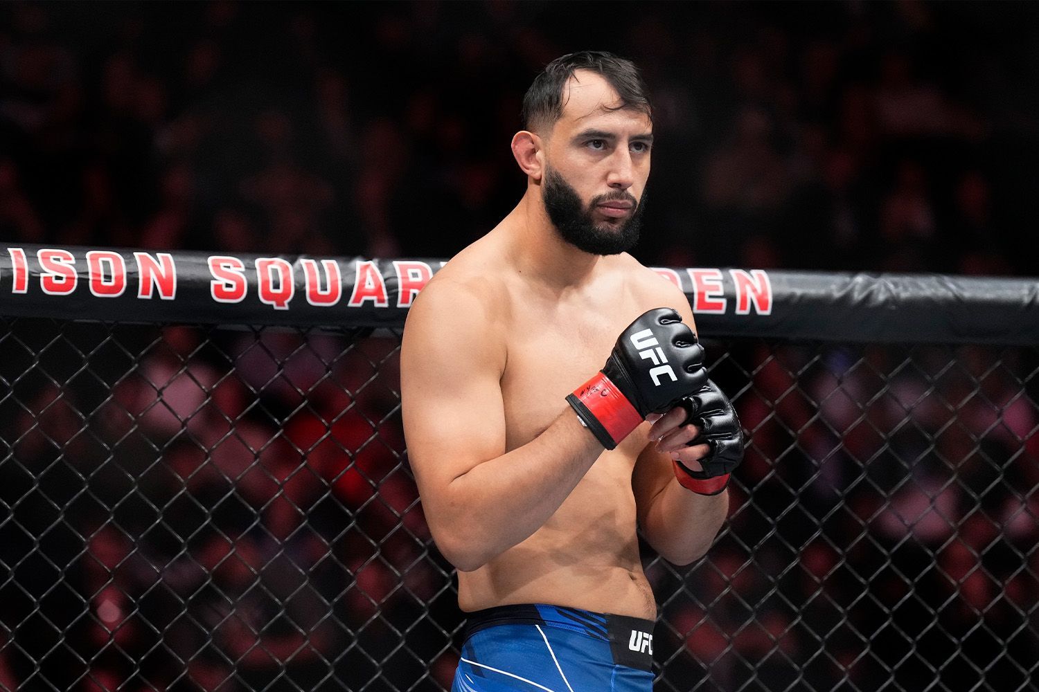 1500x1000 I'm a UFC cult hero and have fought for world titles used to be a high school IT teacher before taking to the cage