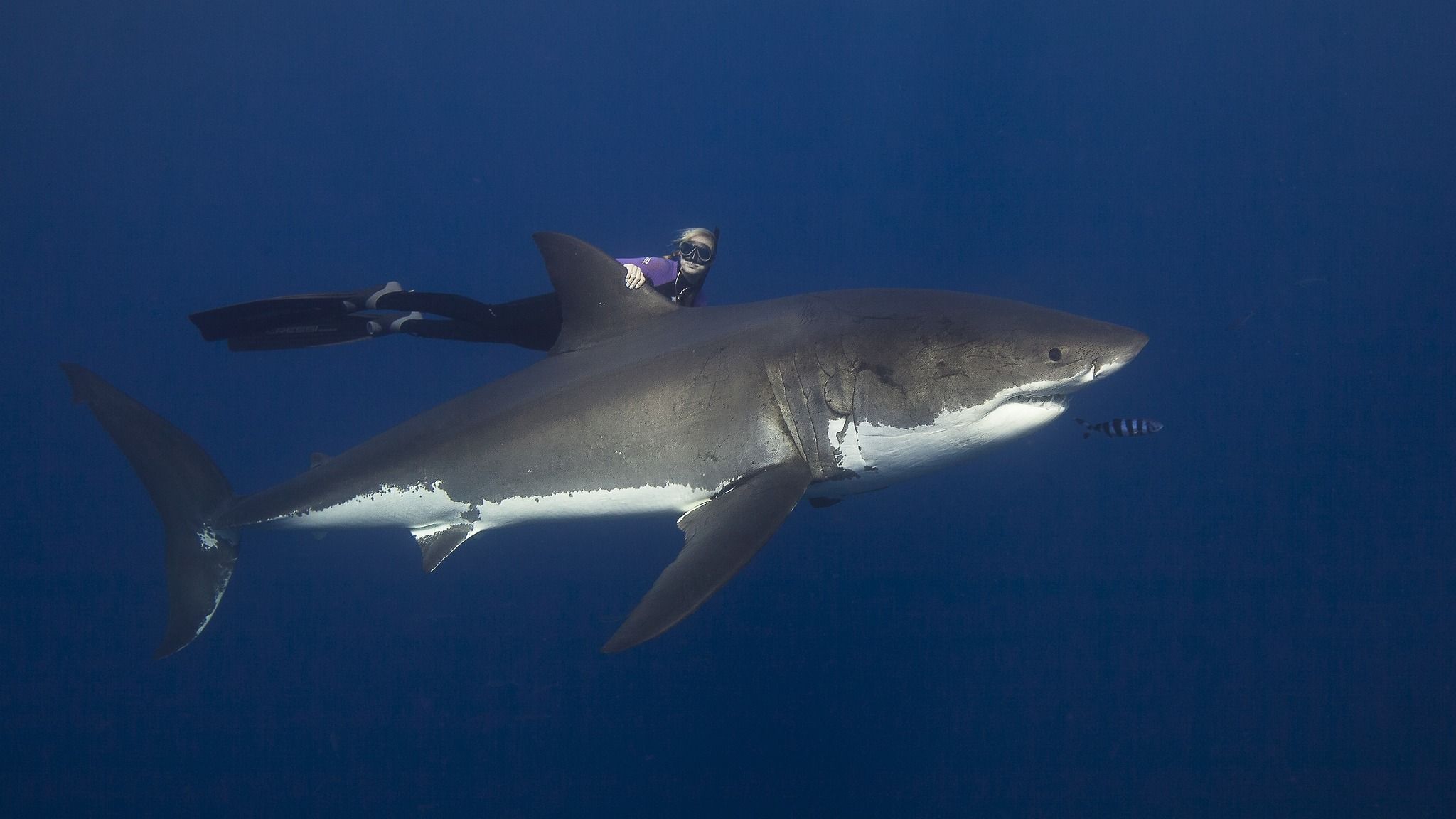 2048x1152 oceanramsey on Tumblr