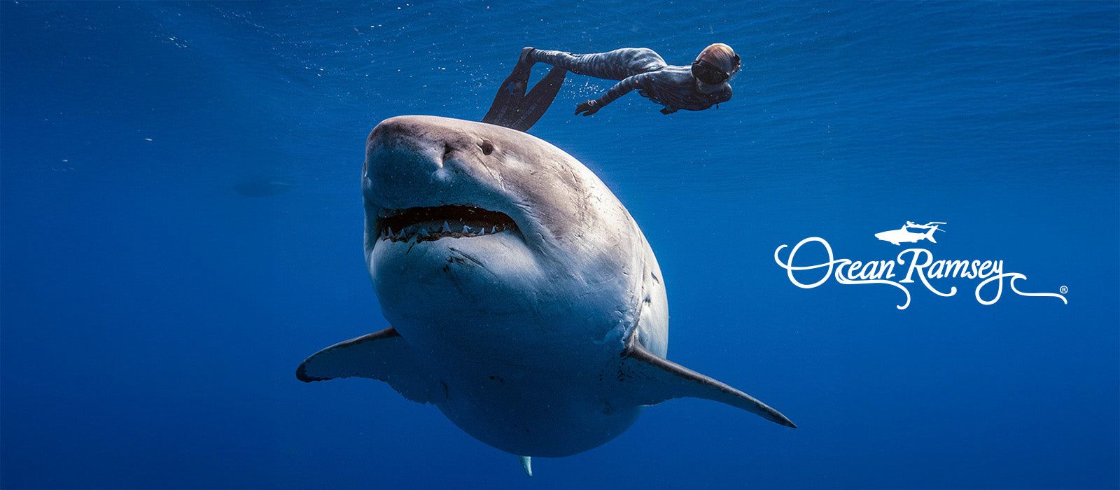 1600x700 Ocean Ramsey Water Inspired