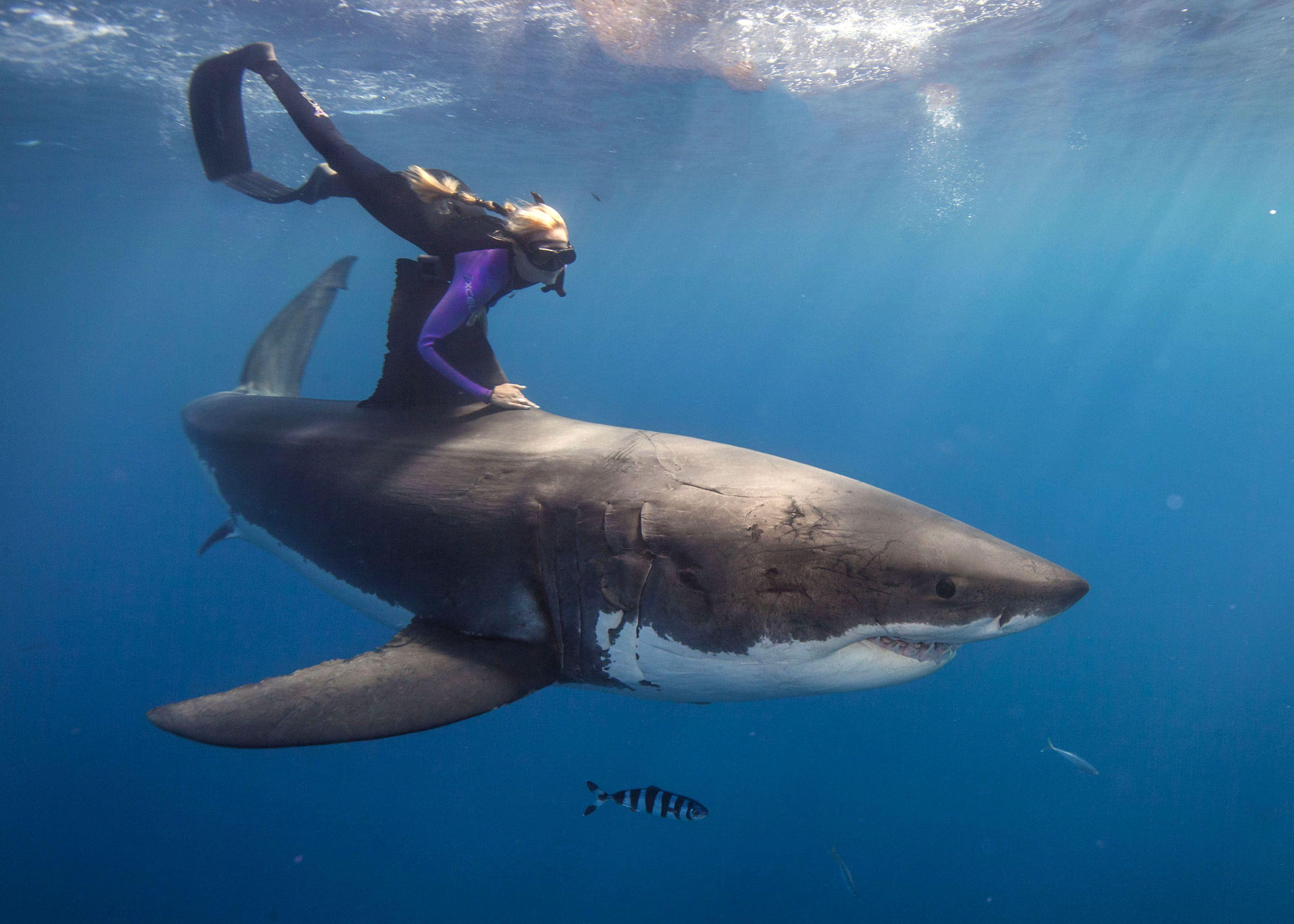 3498x2499 Ocean Ramsey Wallpaper