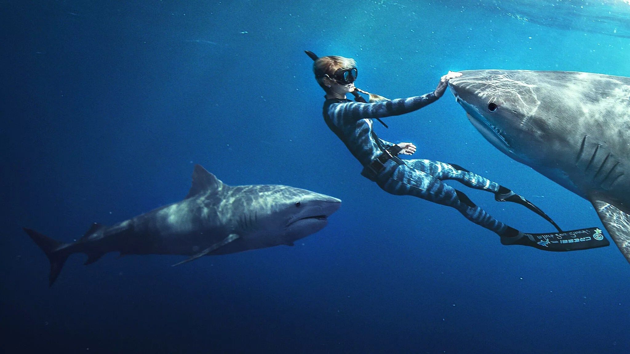 2048x1152 Shark Whisperer documents the work of controversial marine conservationist Ocean Ramsey