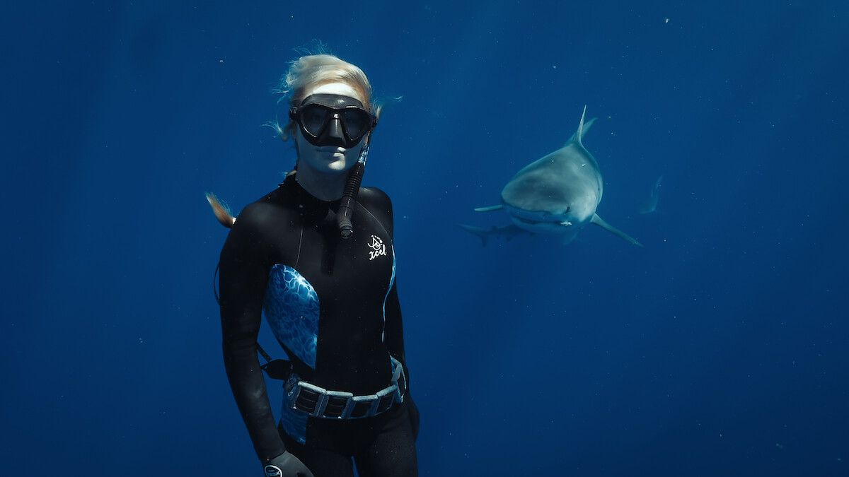 1200x675 Video