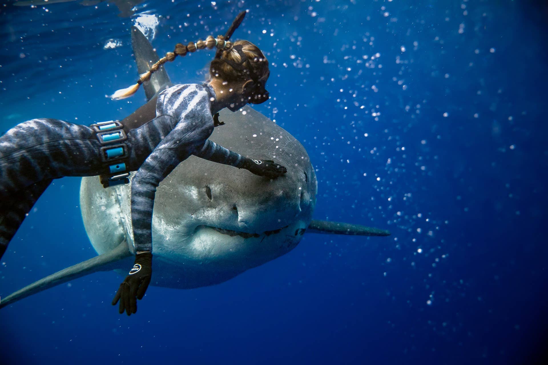 1920x1280 Swimming With Sharks: Everything You Need to Know. Men's Journal's Journal