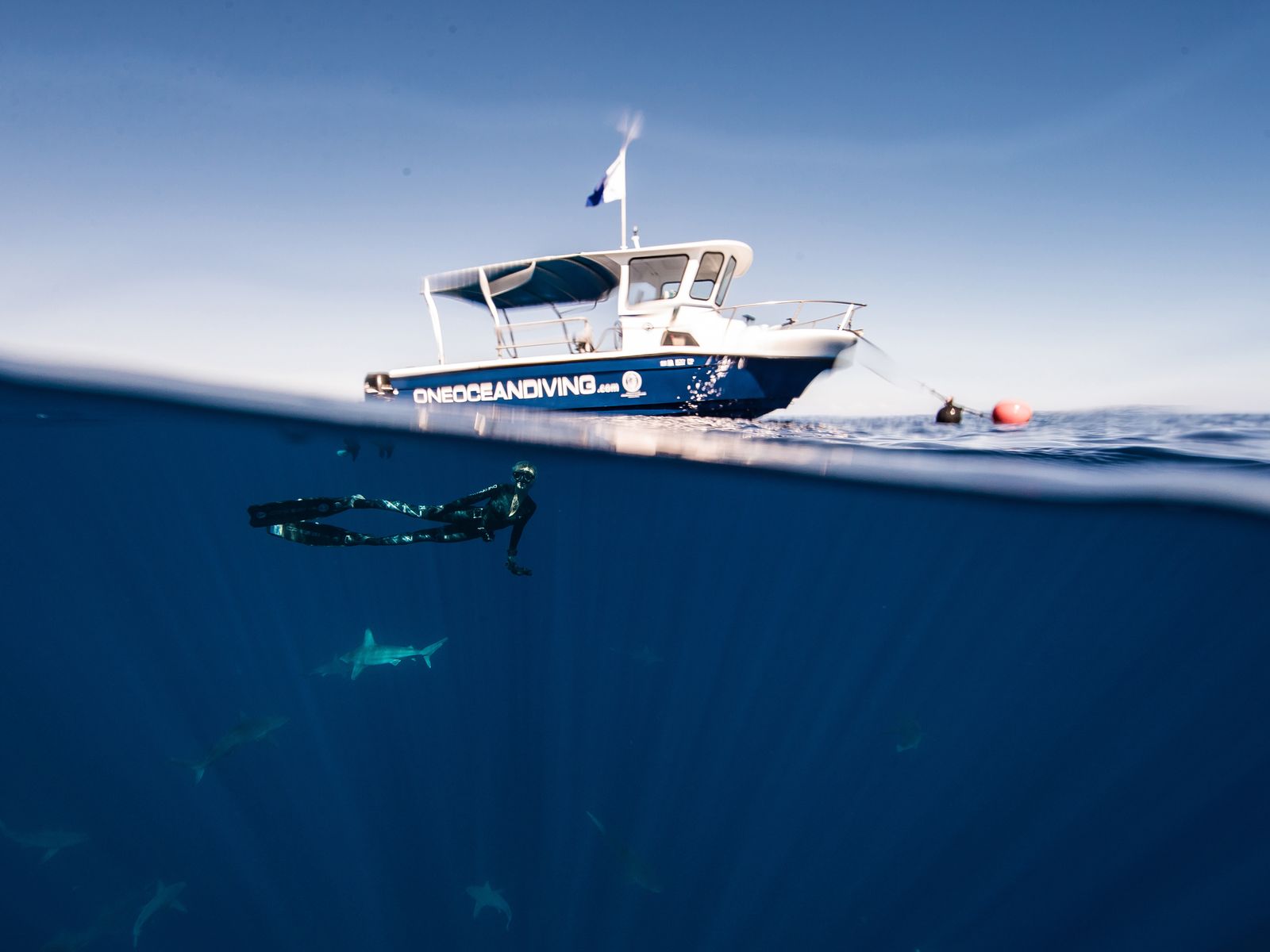 1600x1200 The Women at the Bottom of the Ocean. Condé Nast Traveler