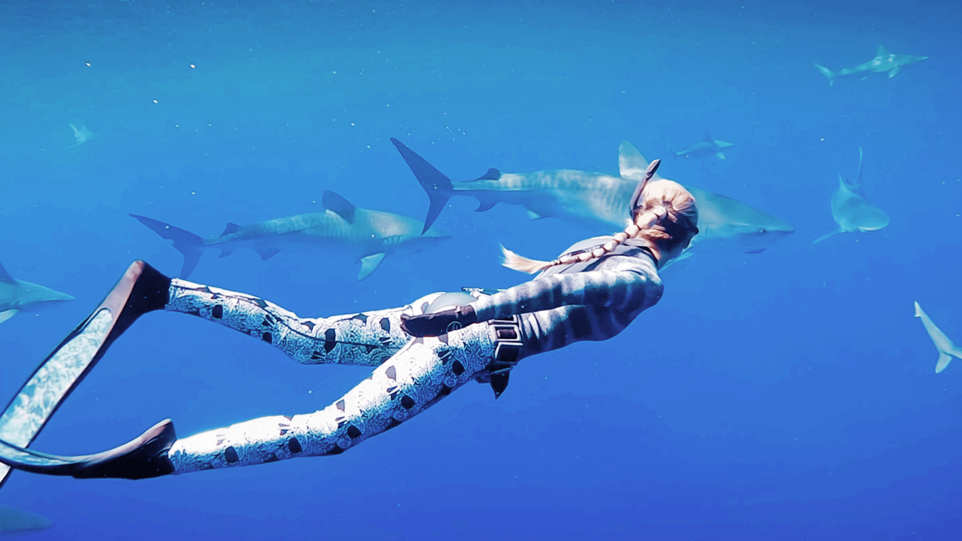 1920x1080 Prime Video: Envoy: Shark Cull
