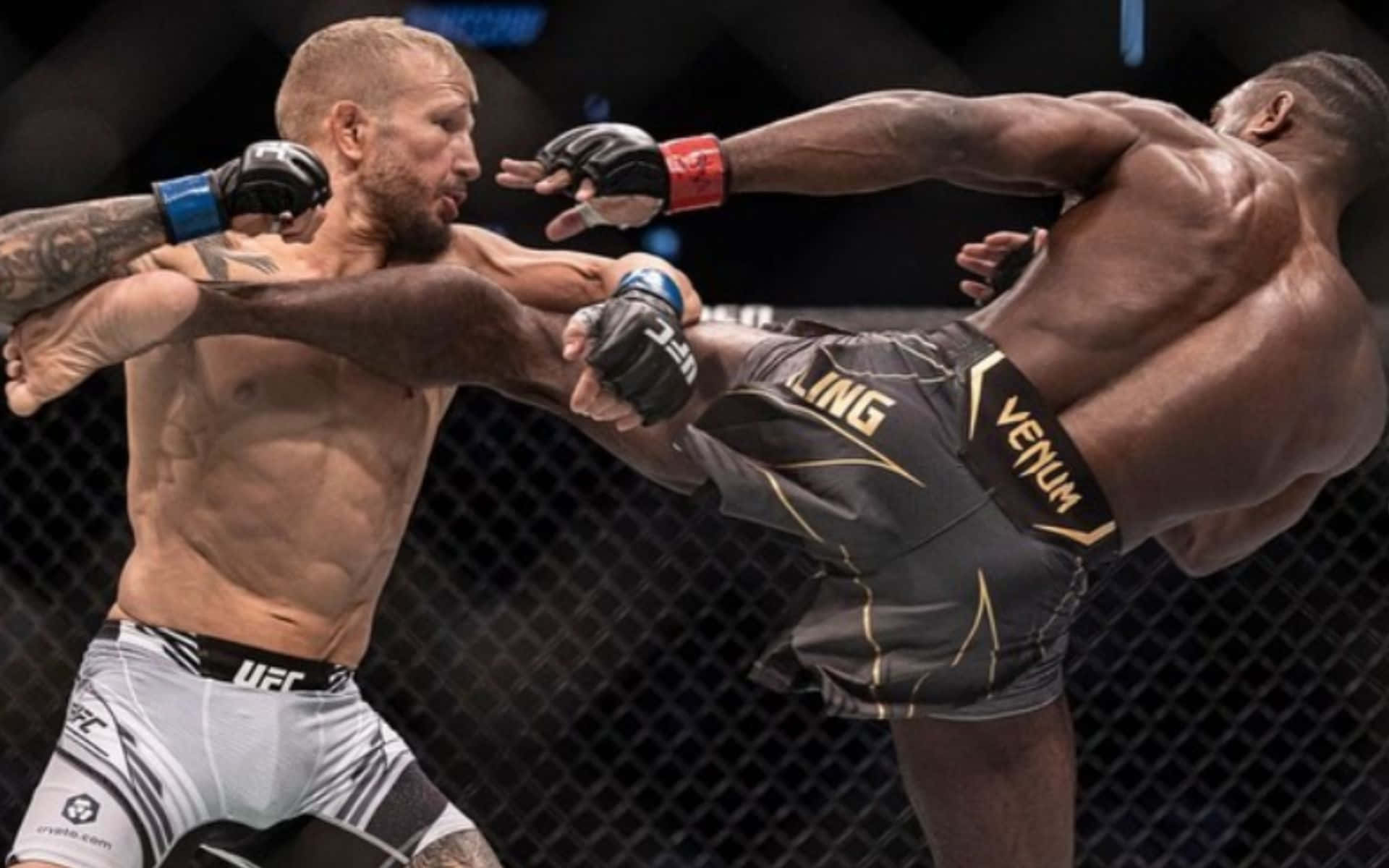 1920x1200 Download Tj Dillashaw And Aljamain Sterling Fight Wallpaper