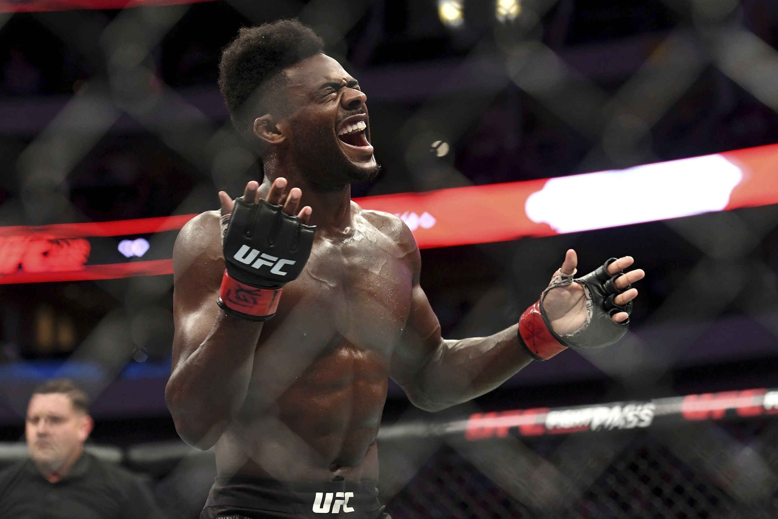 2560x1708 Aljamain Sterling Wins UFC Bantamweight Title After Petr Yan DQ on Illegal Knee