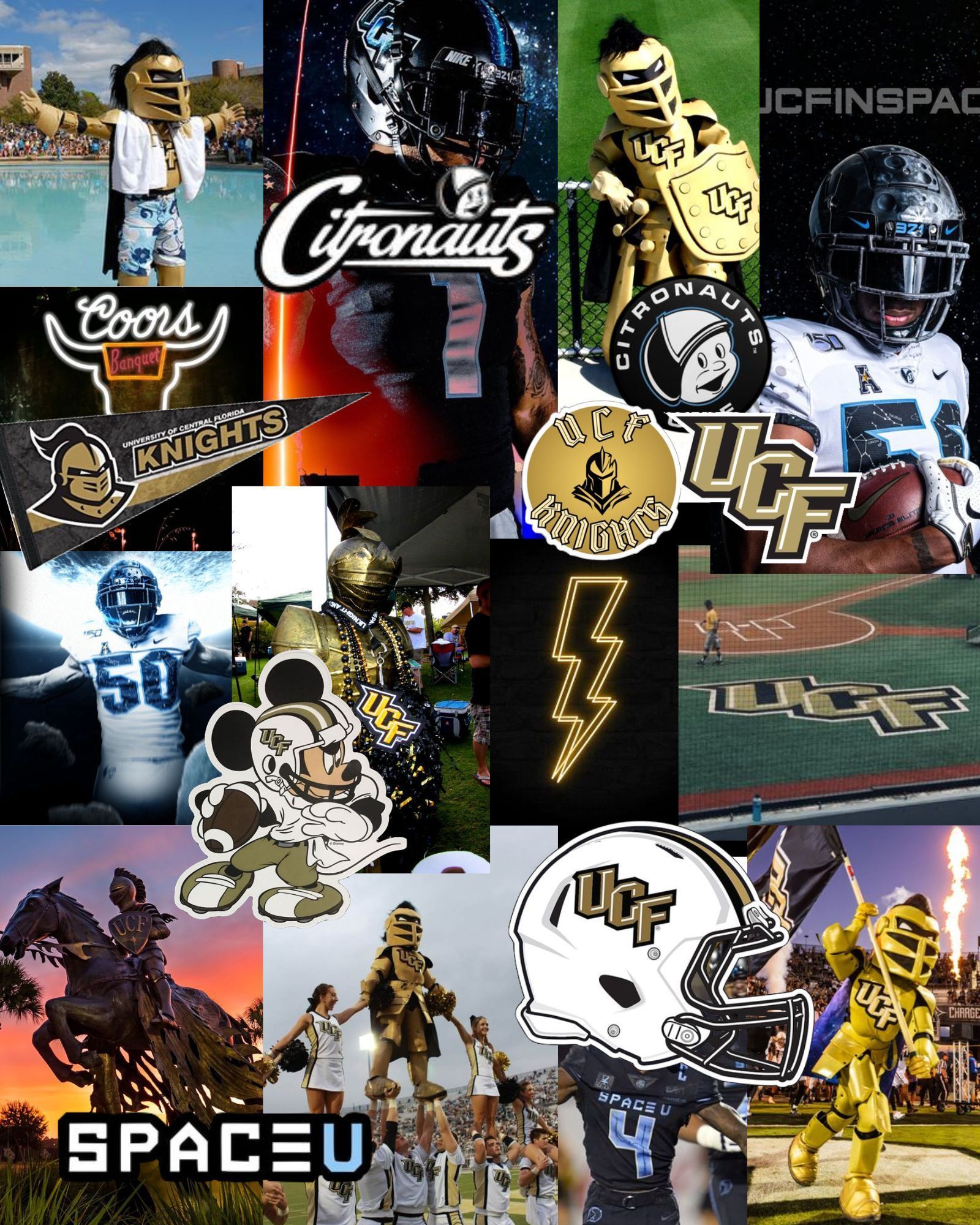 1600x2000 Ucf Poster