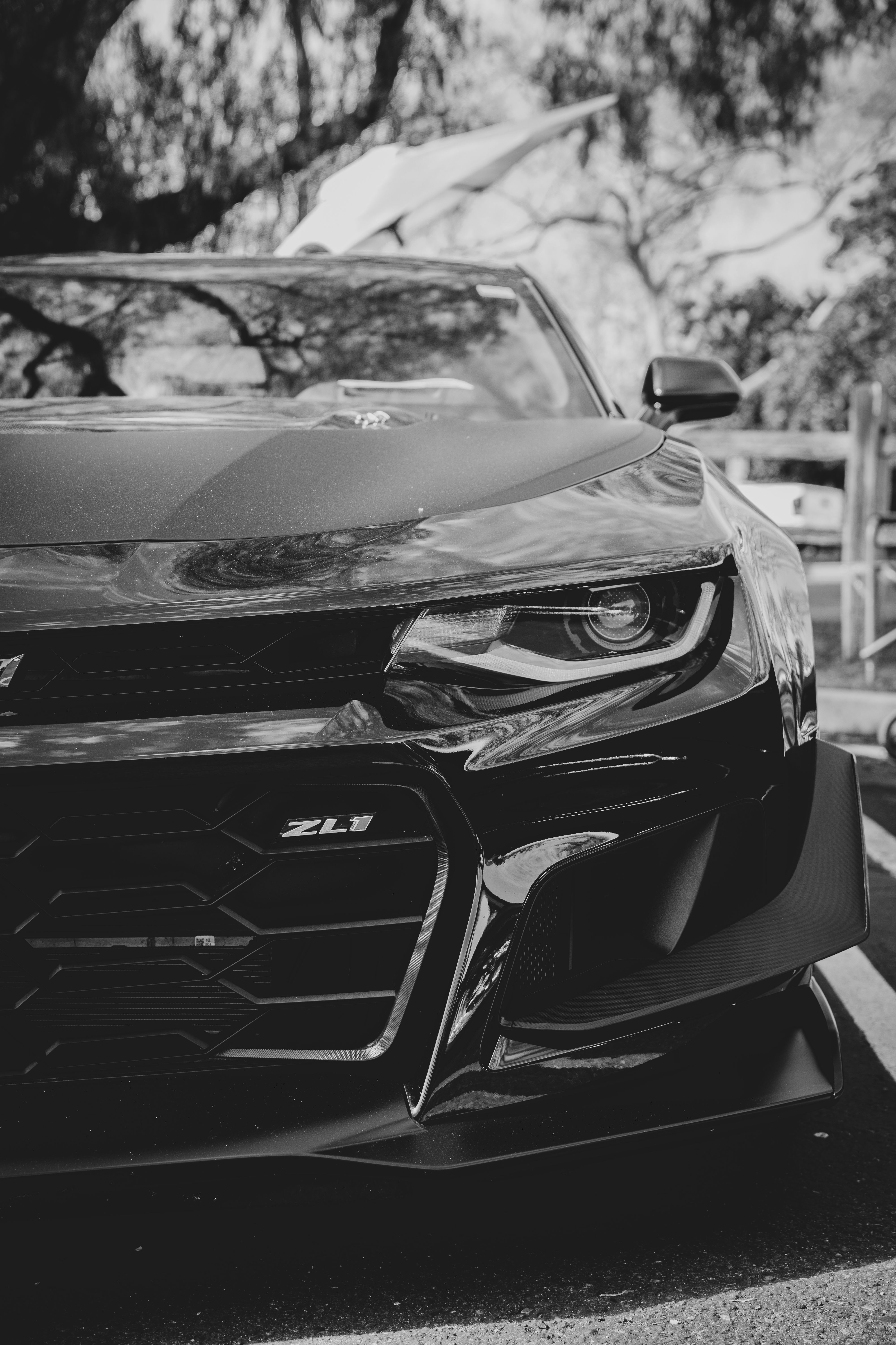 4000x6000 Camaro Zl1 Photo, Download The BEST Free Camaro Zl1 & HD Image
